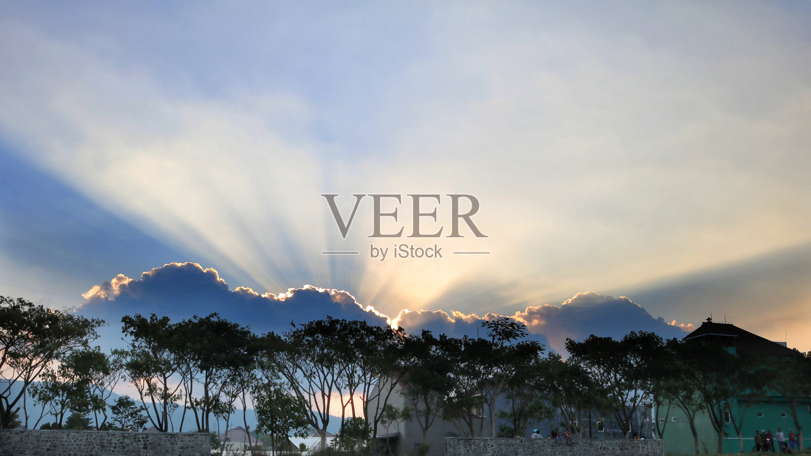 绿树成荫的田野上夕阳的氛围照片摄影图片