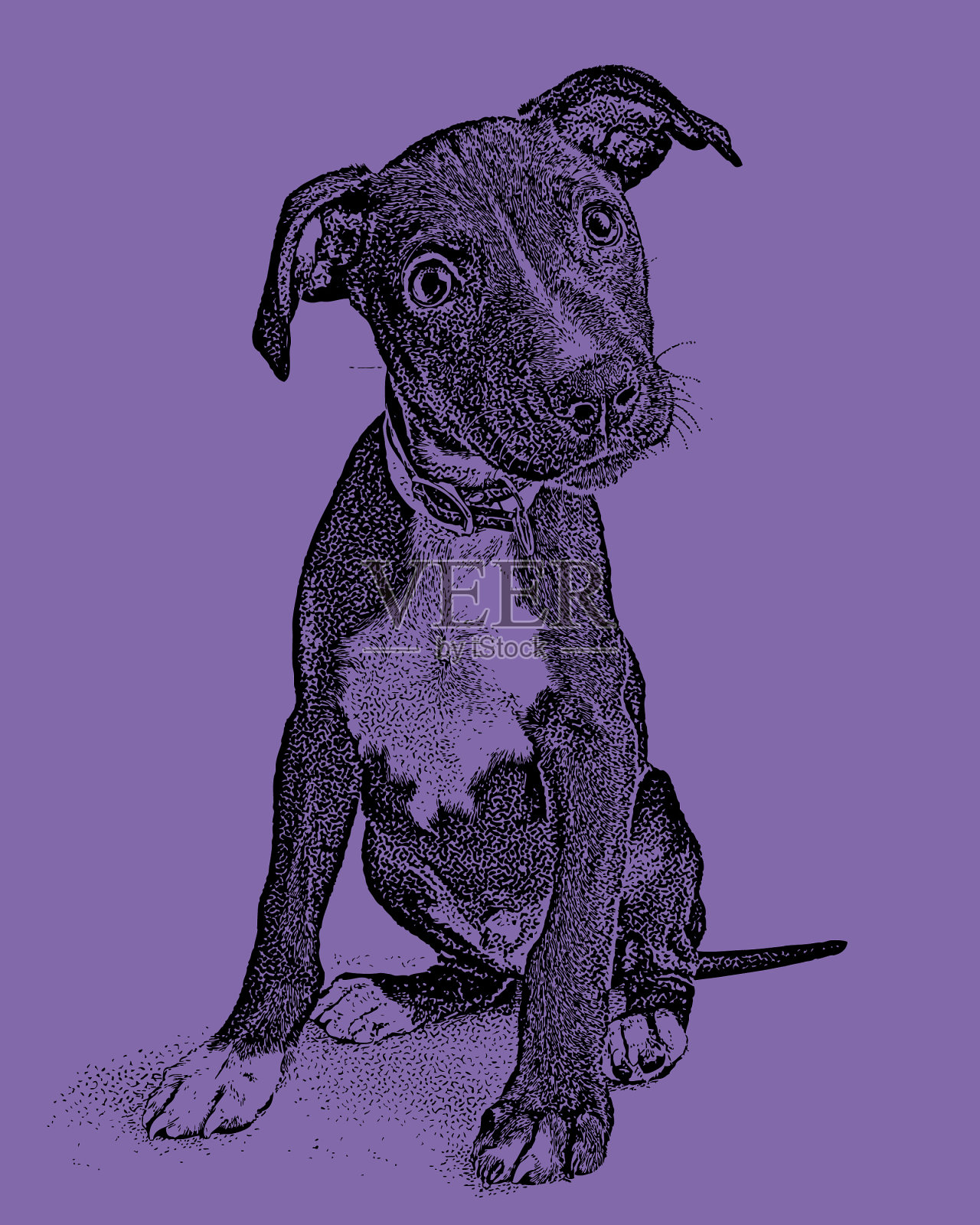 可爱的混血小狗希望被收养插画图片素材