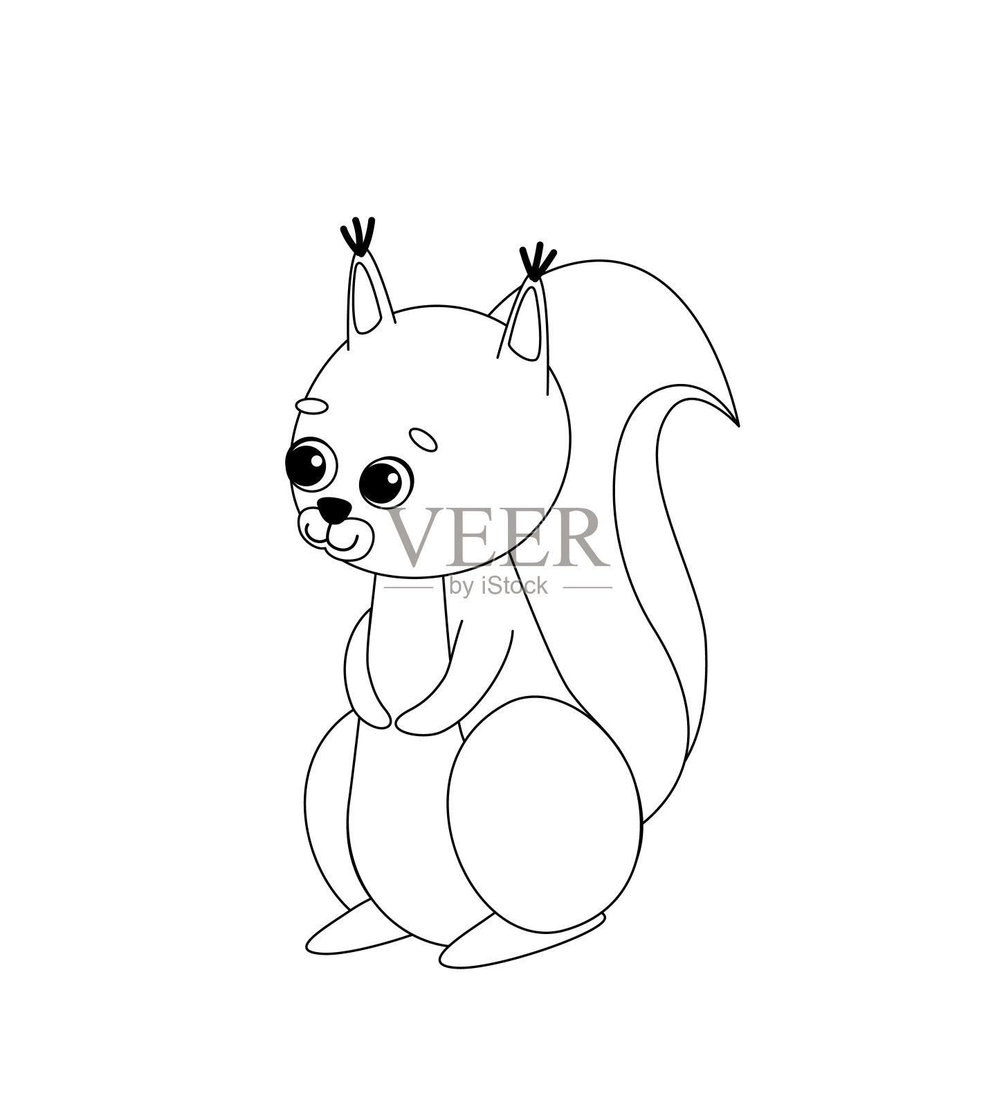 松鼠涂色页。黑白相间的红松鼠。颜色我。向量插画图片素材