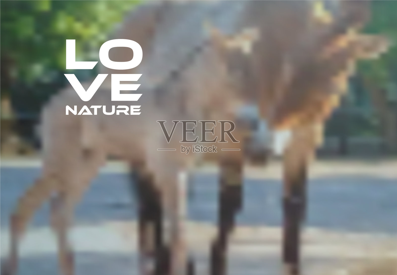 矢量模糊背景与马和马驹的自然动机,模糊自然背景从梯度网格,普氏马的背景插画图片素材