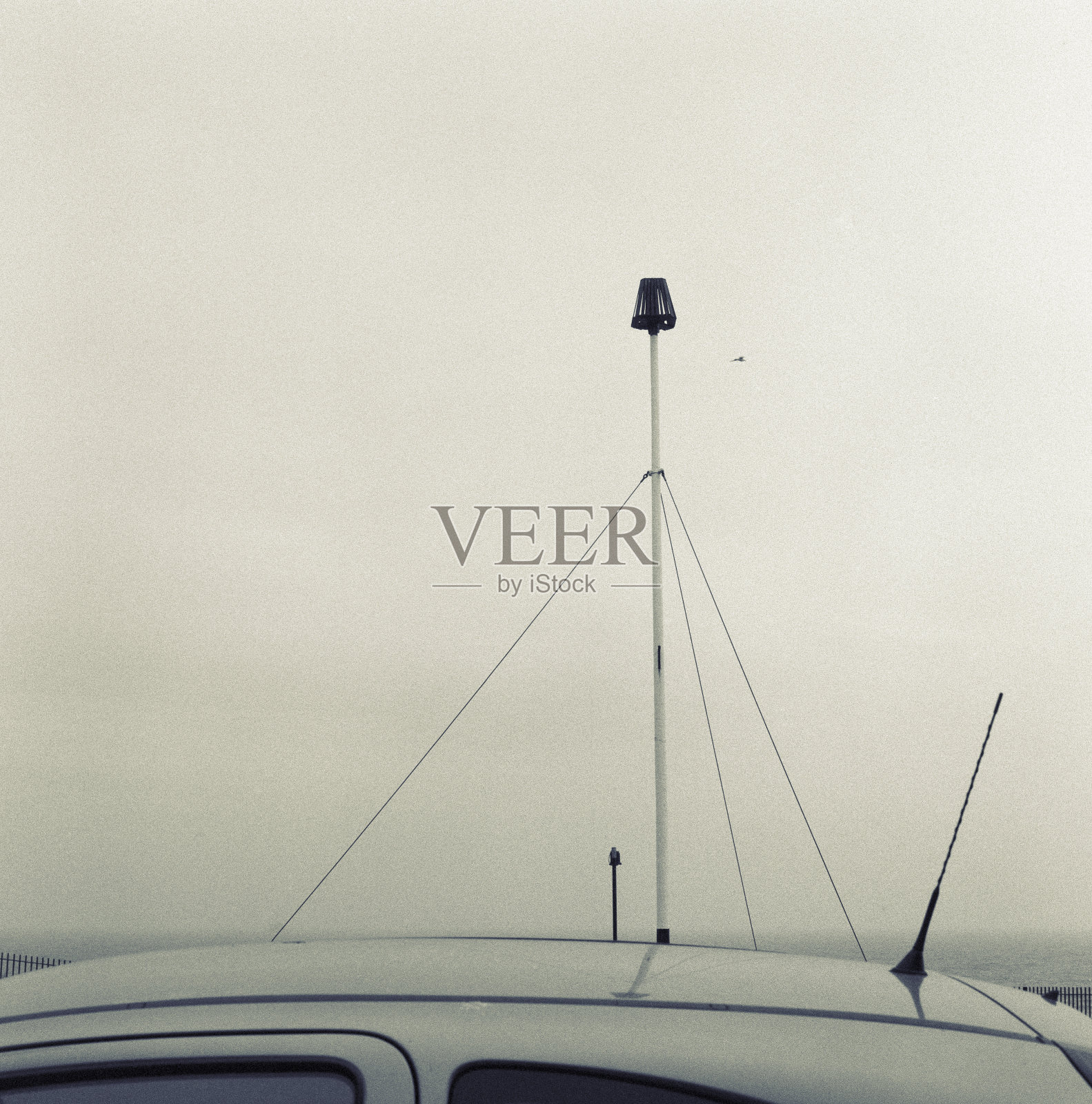 以大海为背景,一切都很美丽照片摄影图片