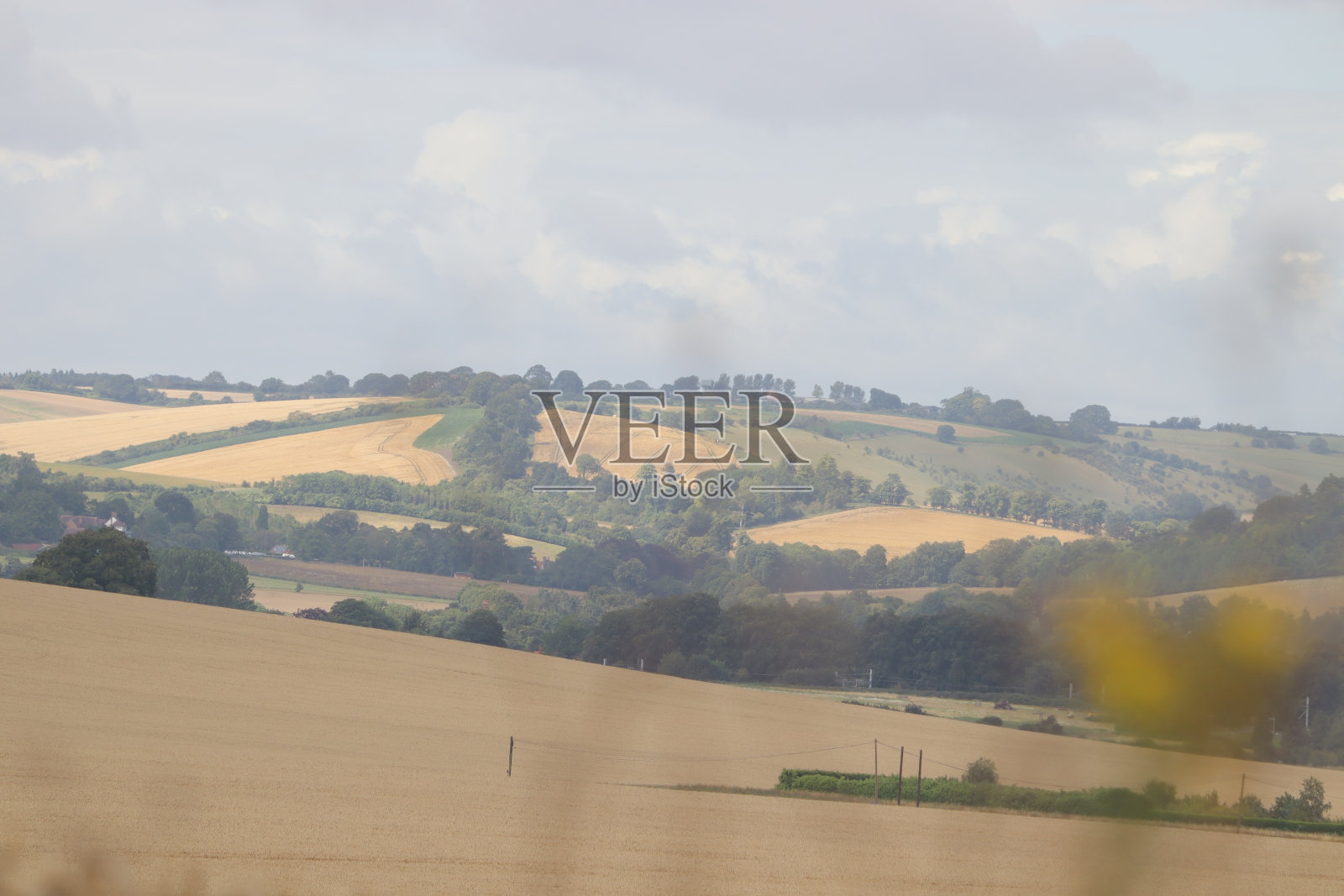 柴郡照片摄影图片