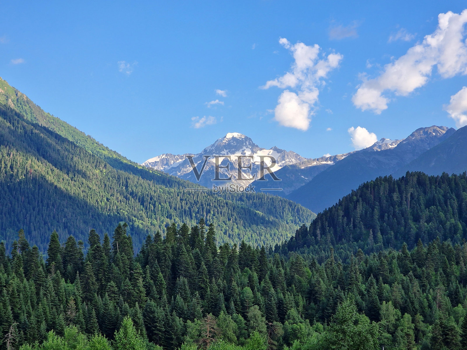 绿色的针叶林巨大的雪山。绿色和蓝色调的极简主义照片。Arkhyz,卡拉恰伊-切尔克斯,俄罗斯照片摄影图片