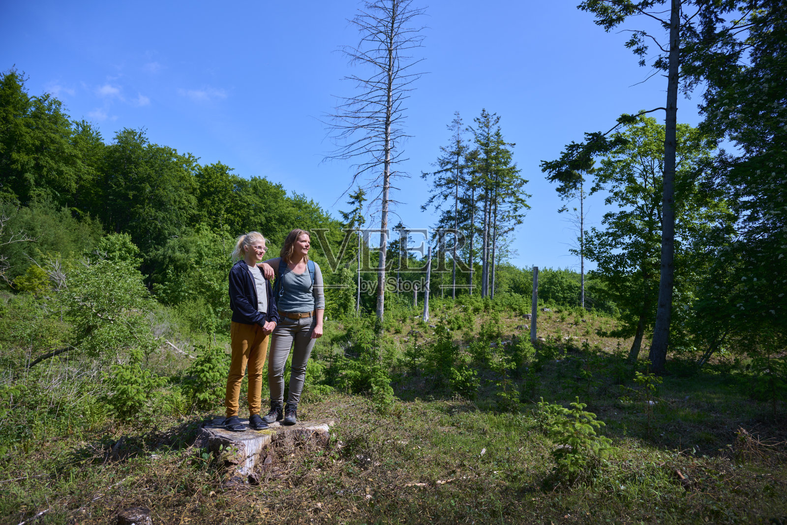 背包客站在树桩上照片摄影图片