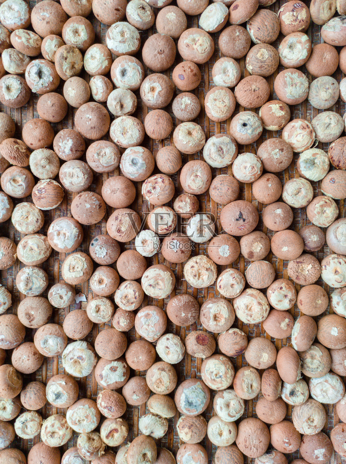 槟榔照片摄影图片