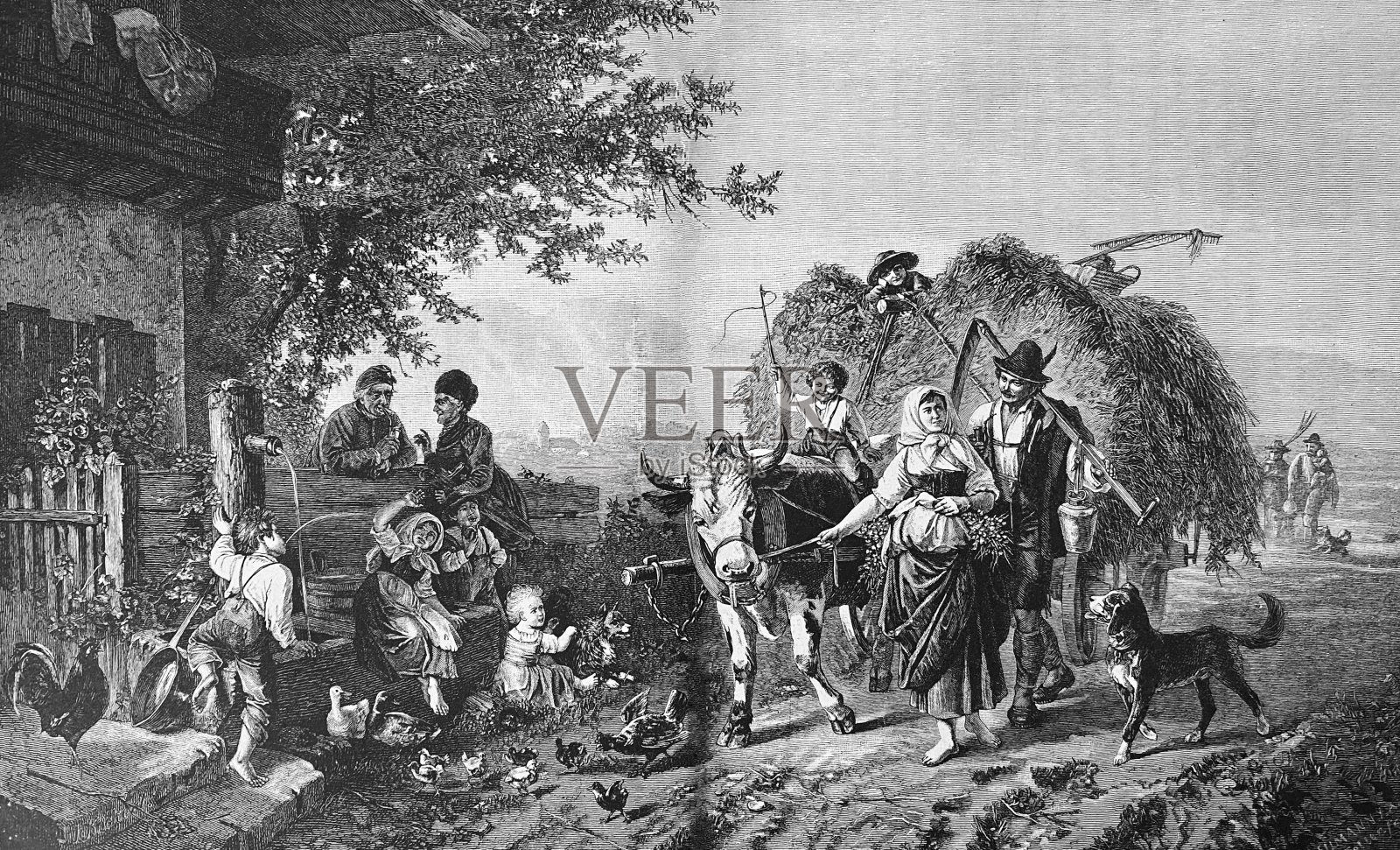 满满一车干草回来了插画图片素材