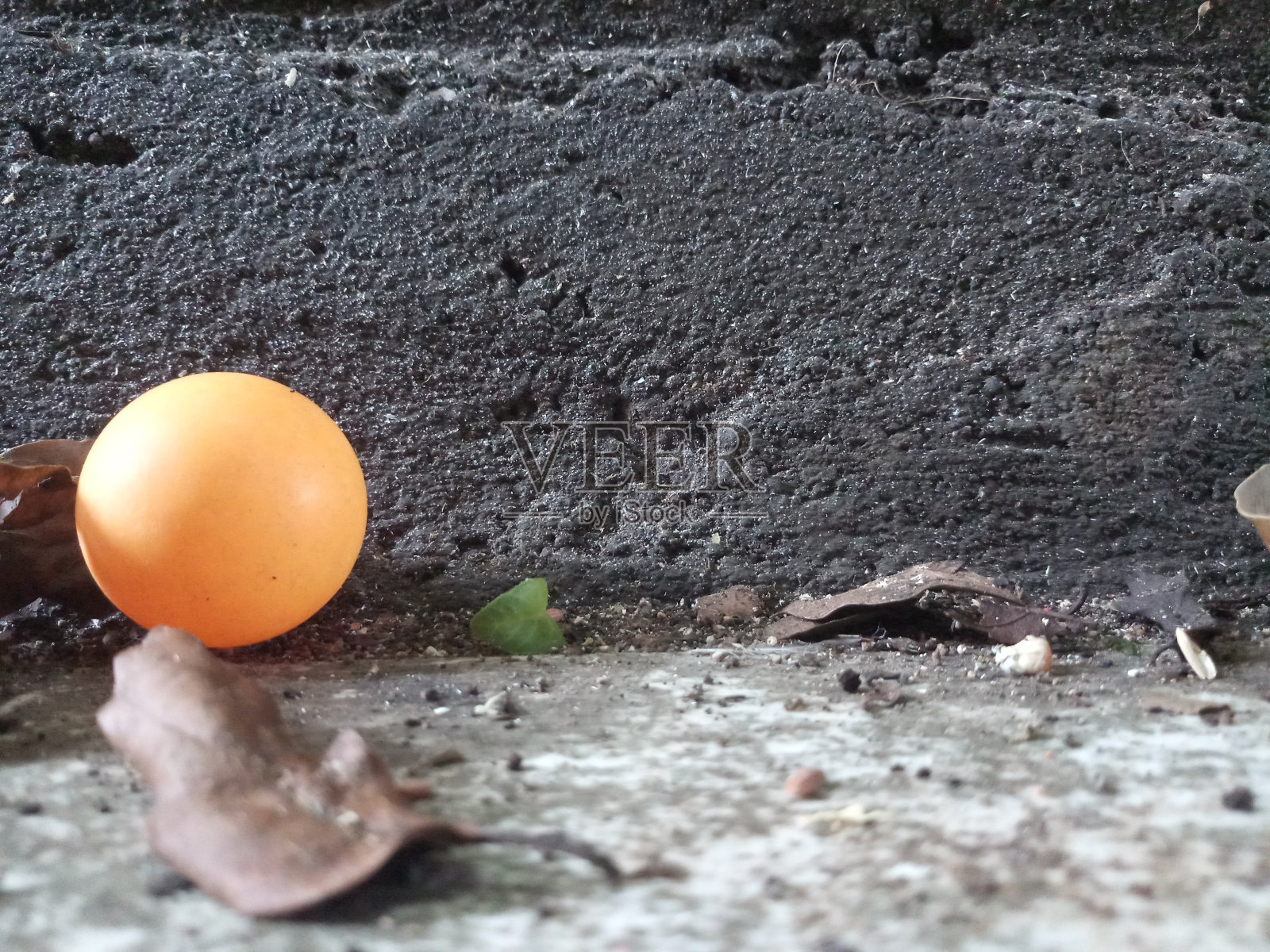 浪费的乒乓球照片摄影图片