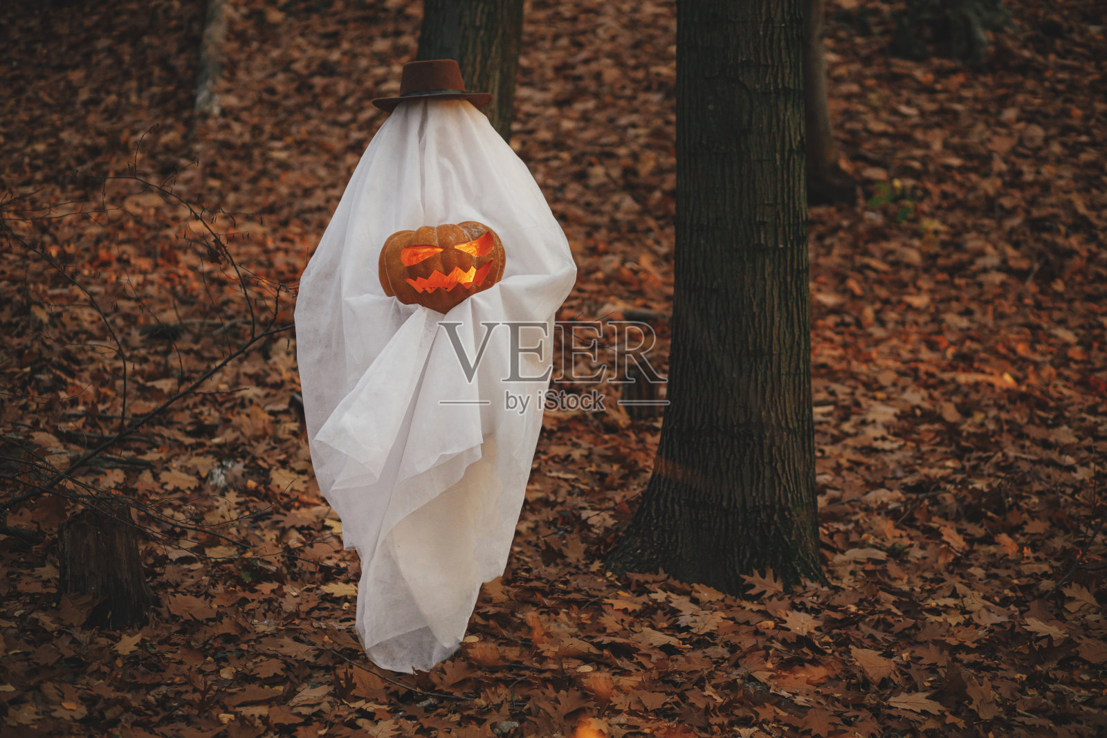 万圣节快乐!忧郁的秋天森林里,时髦的幽灵手持杰克o灯笼。一个人穿着白色的床单,拿着南瓜站在傍晚的秋天的树林里。不给糖就捣蛋照片摄影图片