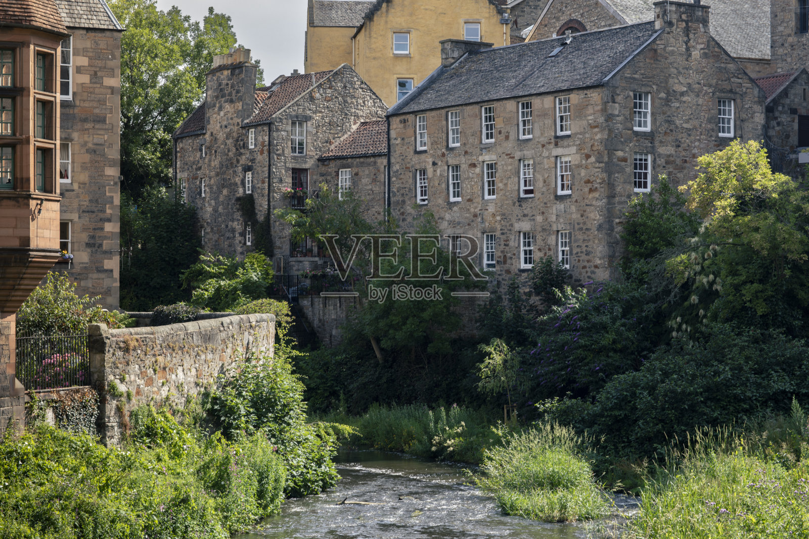 利末水照片摄影图片