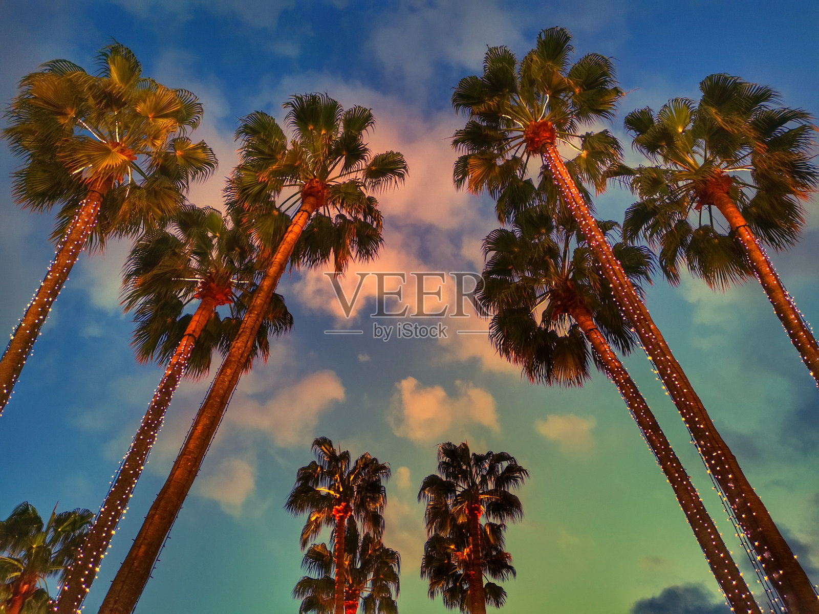 手掌照片摄影图片