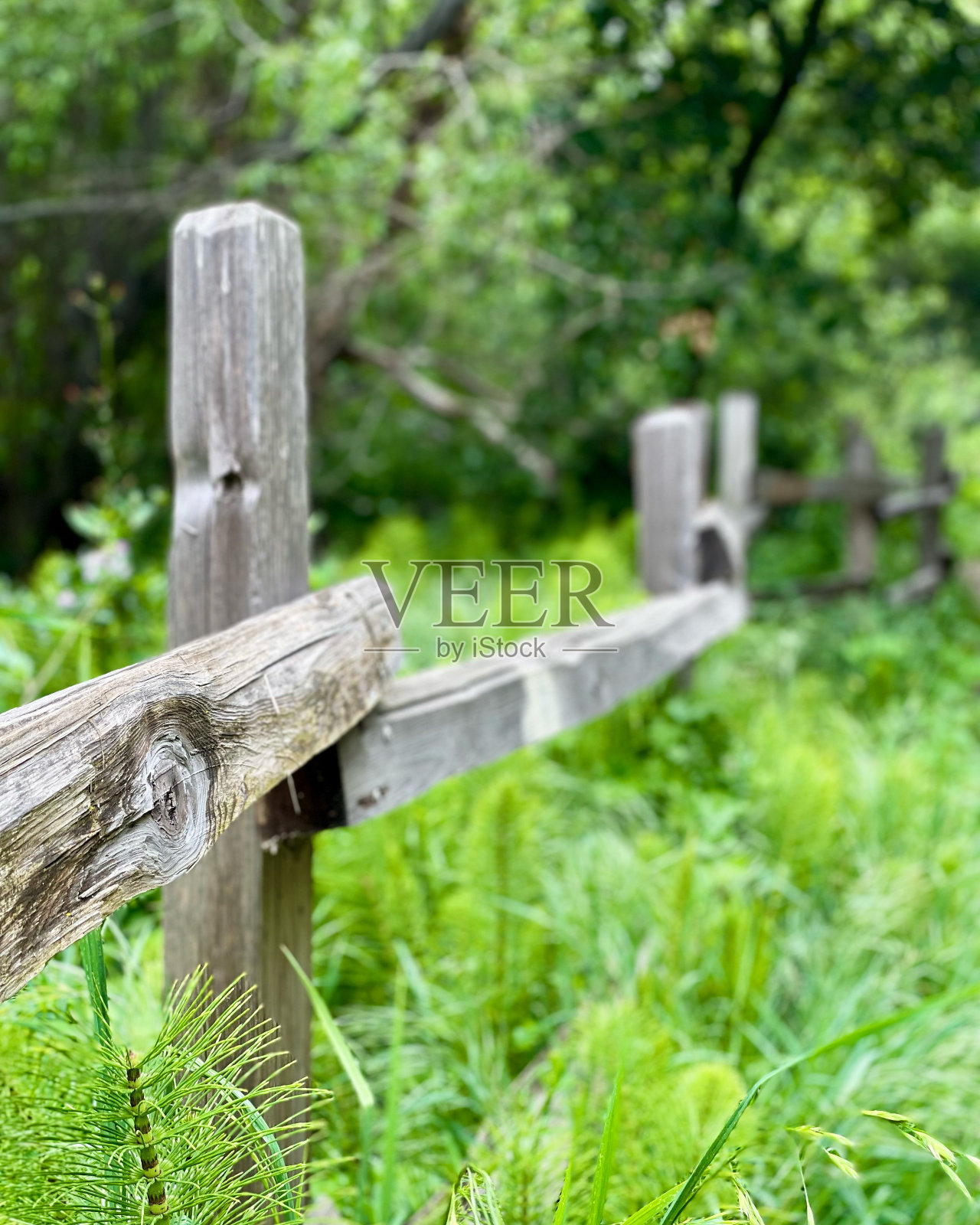 钻石峡谷步道的栅栏照片摄影图片