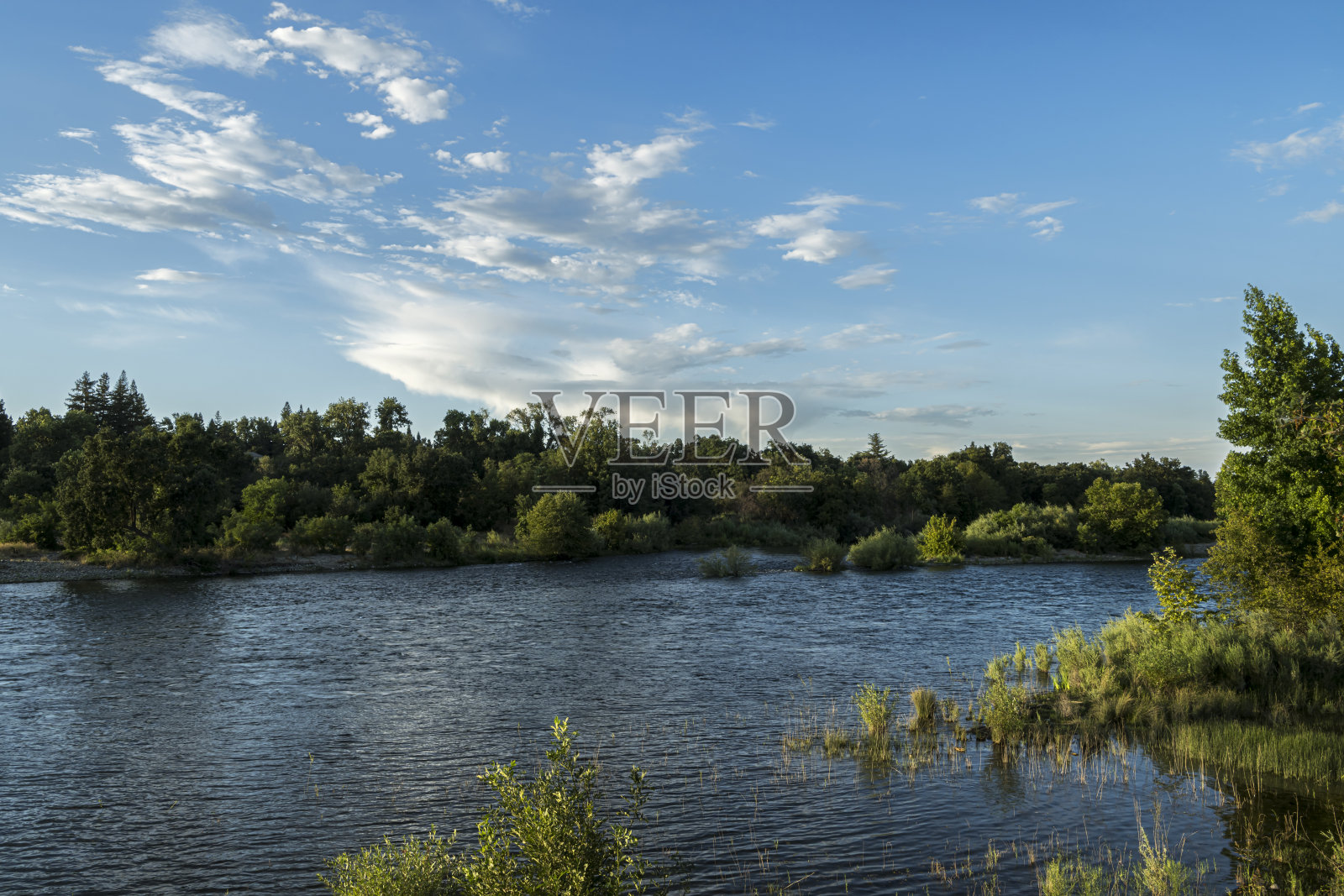 从岸边看到的萨克拉门托河景照片摄影图片
