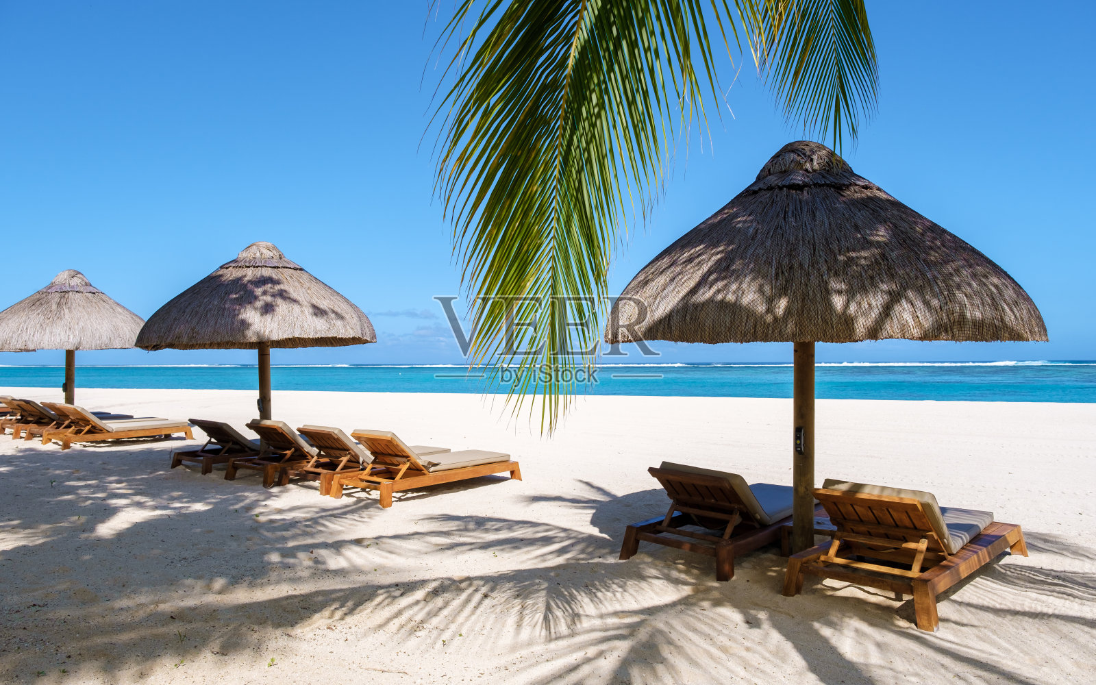 热带海滩,棕榈树和白色的沙滩,蓝色的海洋照片摄影图片