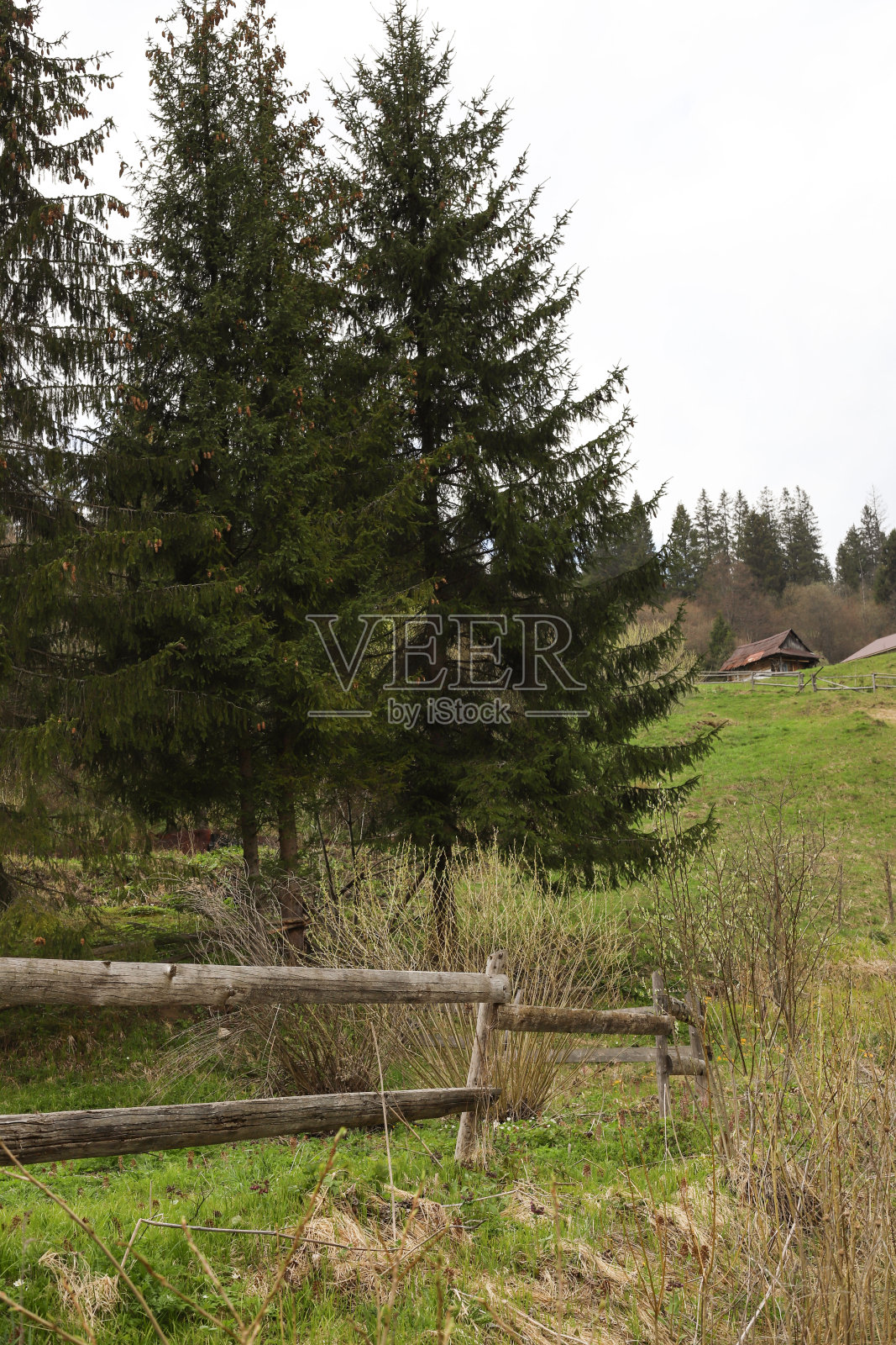 生态之旅照片摄影图片