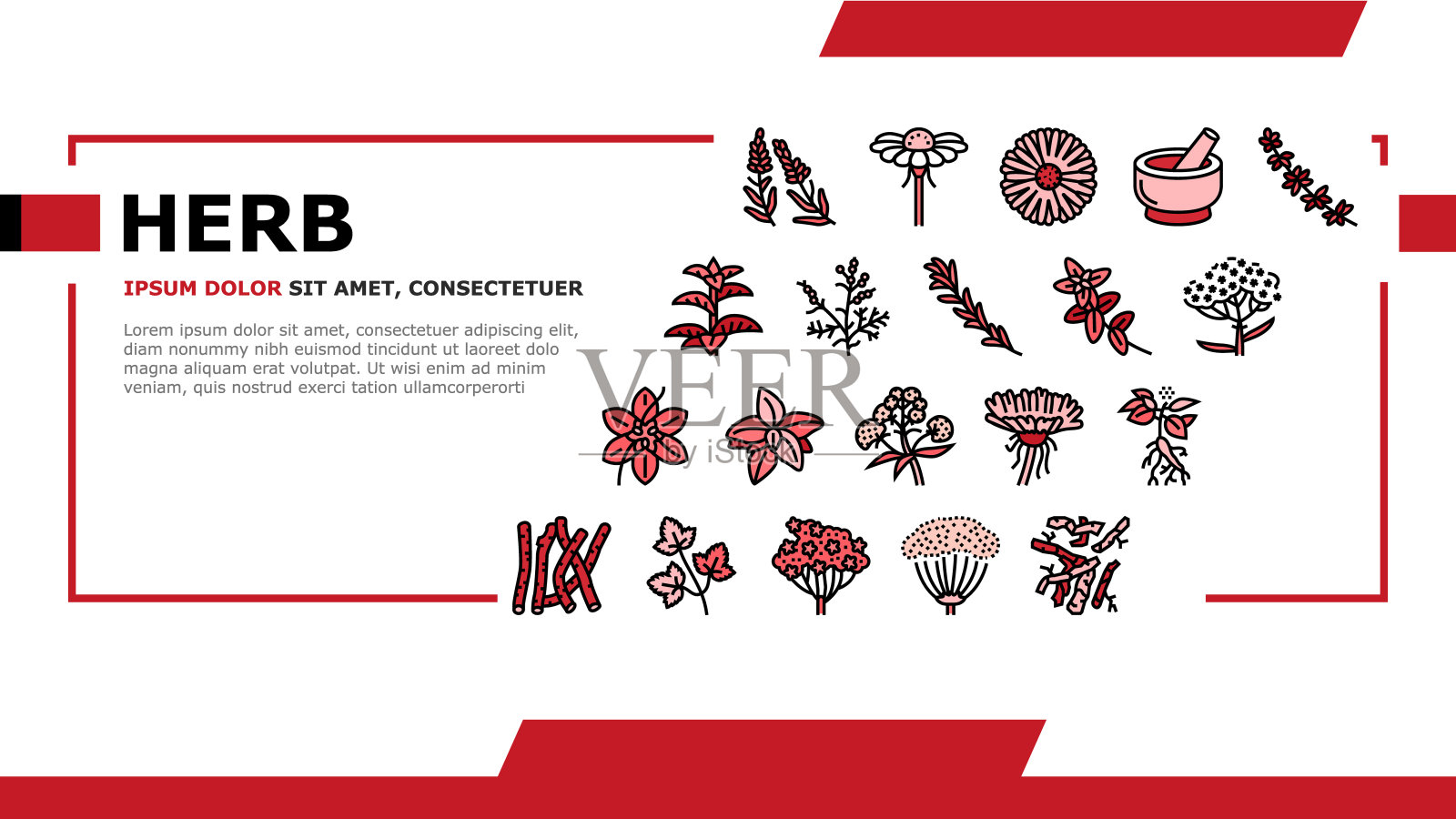 草药天然成分着陆头部向量插画图片素材