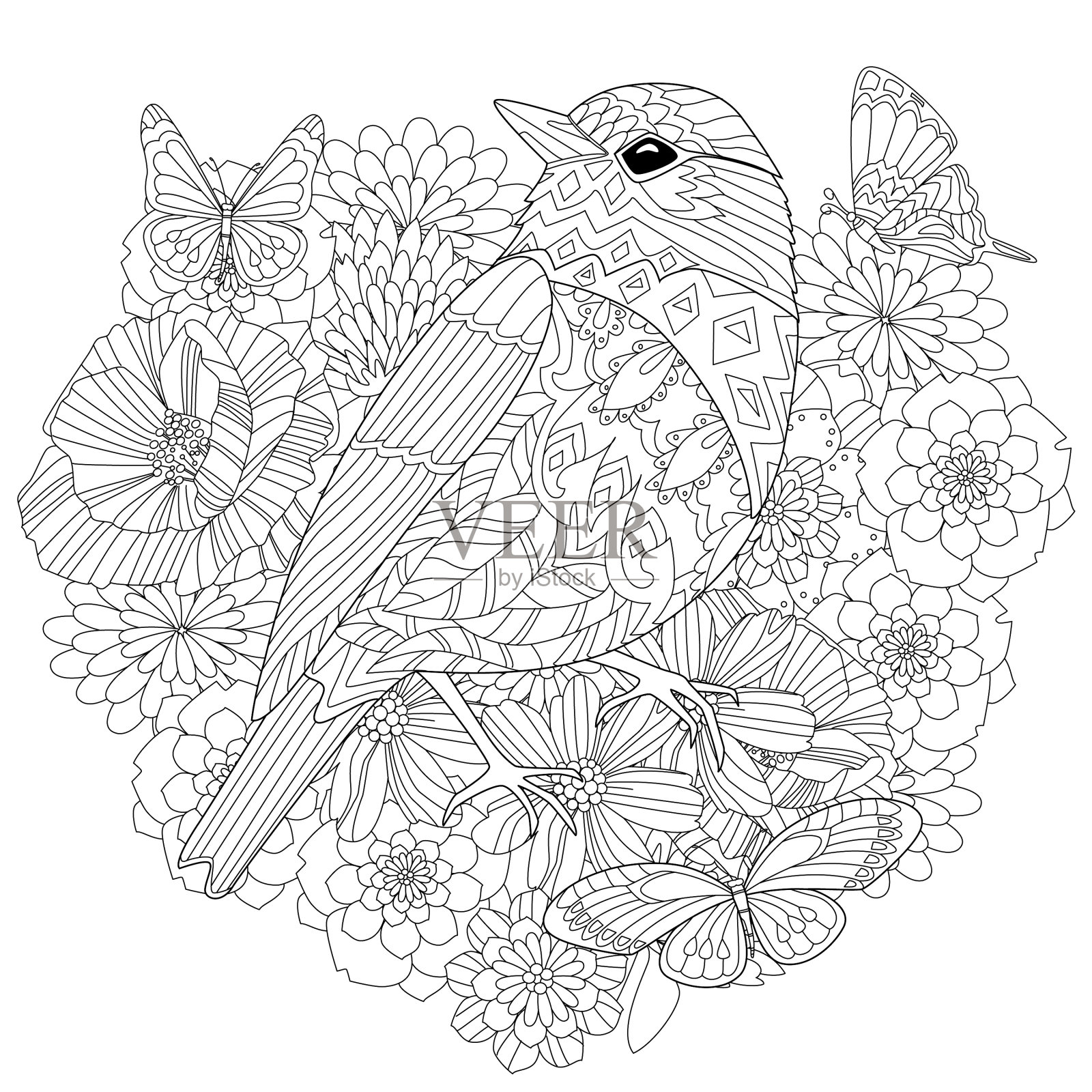 漂亮的小鸟,穿着漂亮的花,为你上色插画图片素材