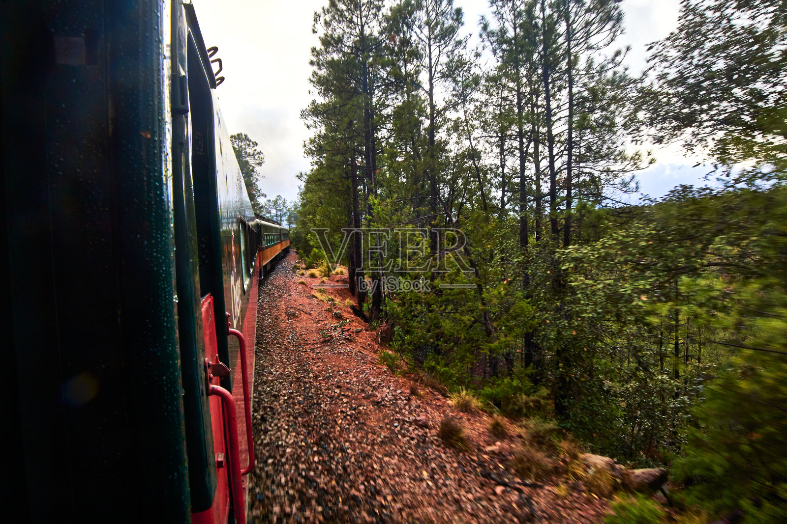 吉普赛火车穿过塔拉乌马拉山脉的一片森林照片摄影图片