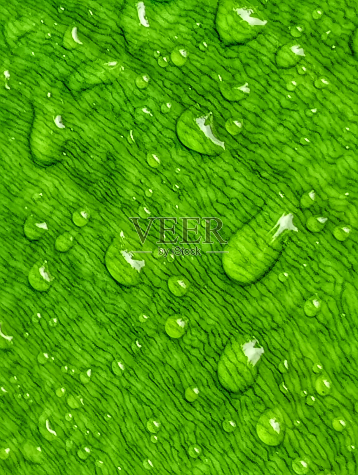 水滴。照片摄影图片