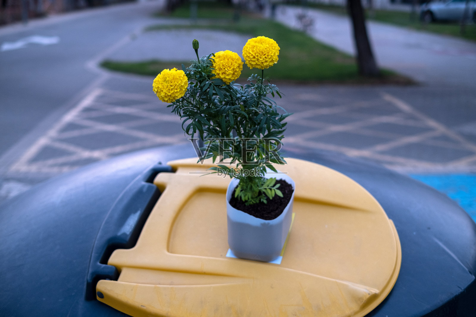 回收箱上用可回收材料制成的花盆,上面有黄色的花朵照片摄影图片