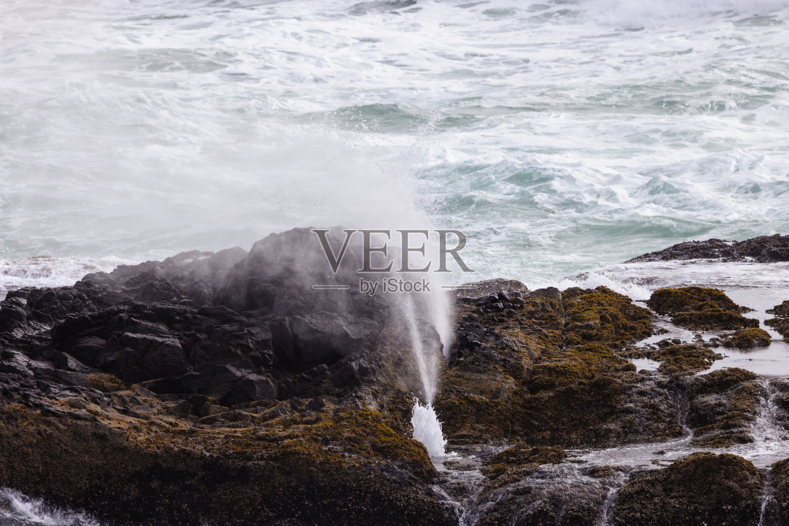 尼普顿州风景观景点照片摄影图片