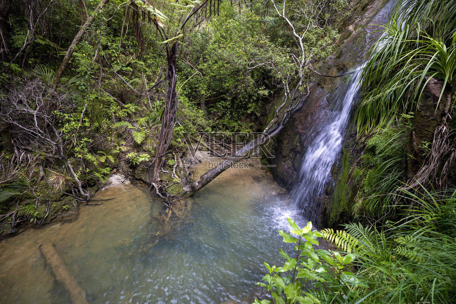 新西兰北岛乡村的流水照片摄影图片