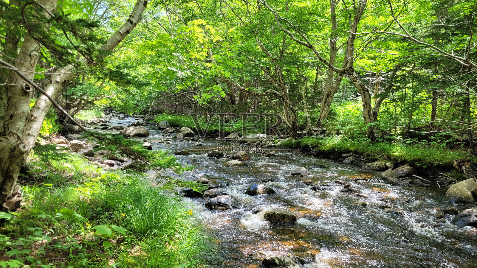 渔湾河(3)照片摄影图片