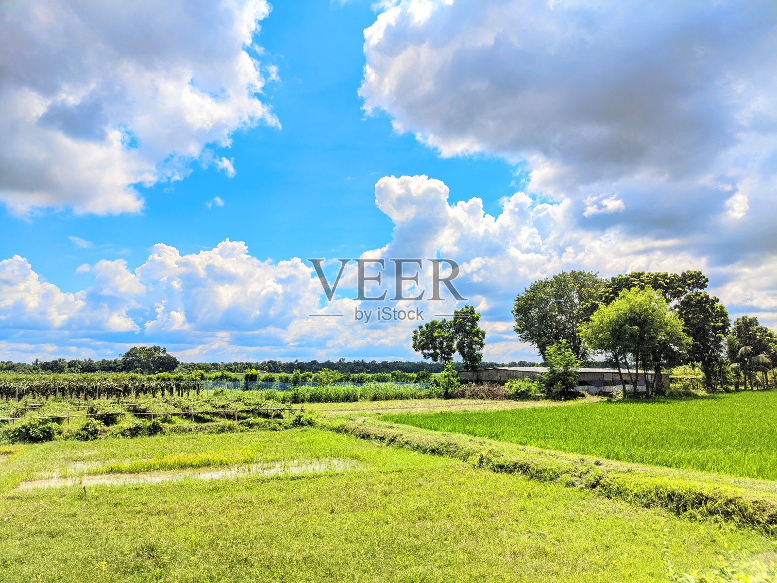 蓝天白云照片摄影图片