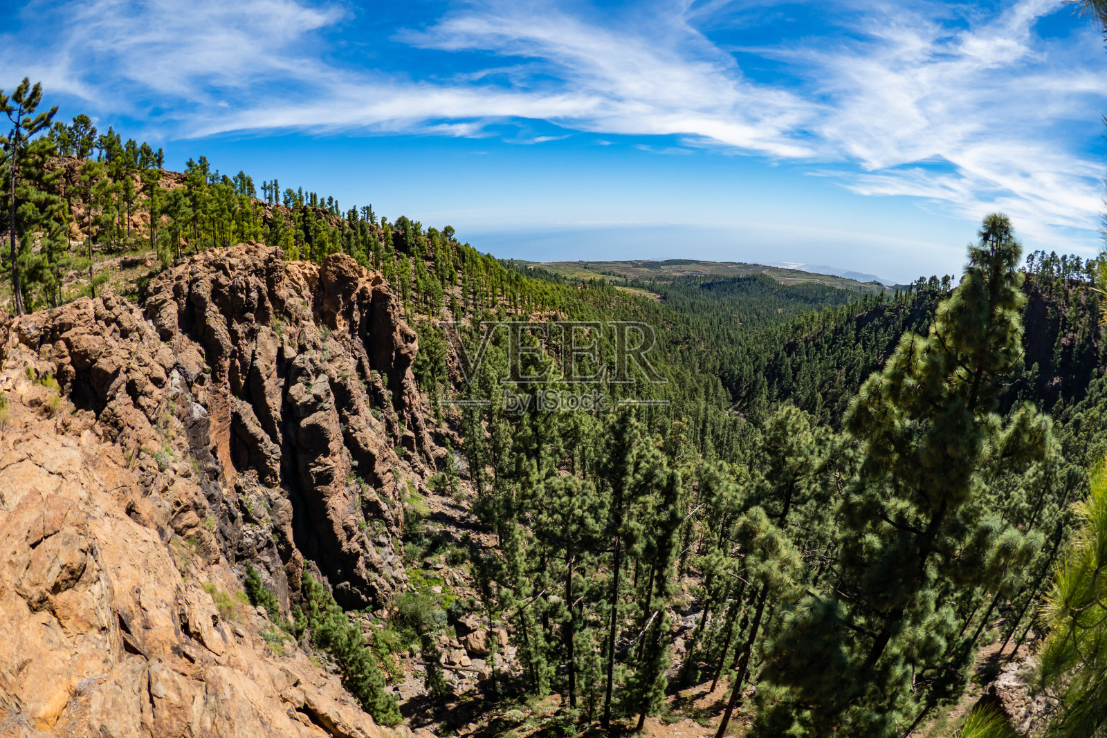 泰德火山南侧的森林照片摄影图片