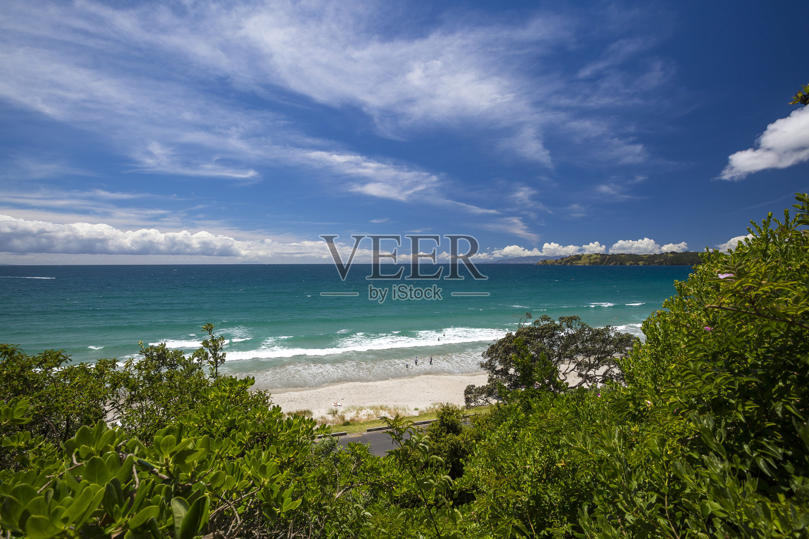 新西兰奥克兰的怀赫克岛照片摄影图片