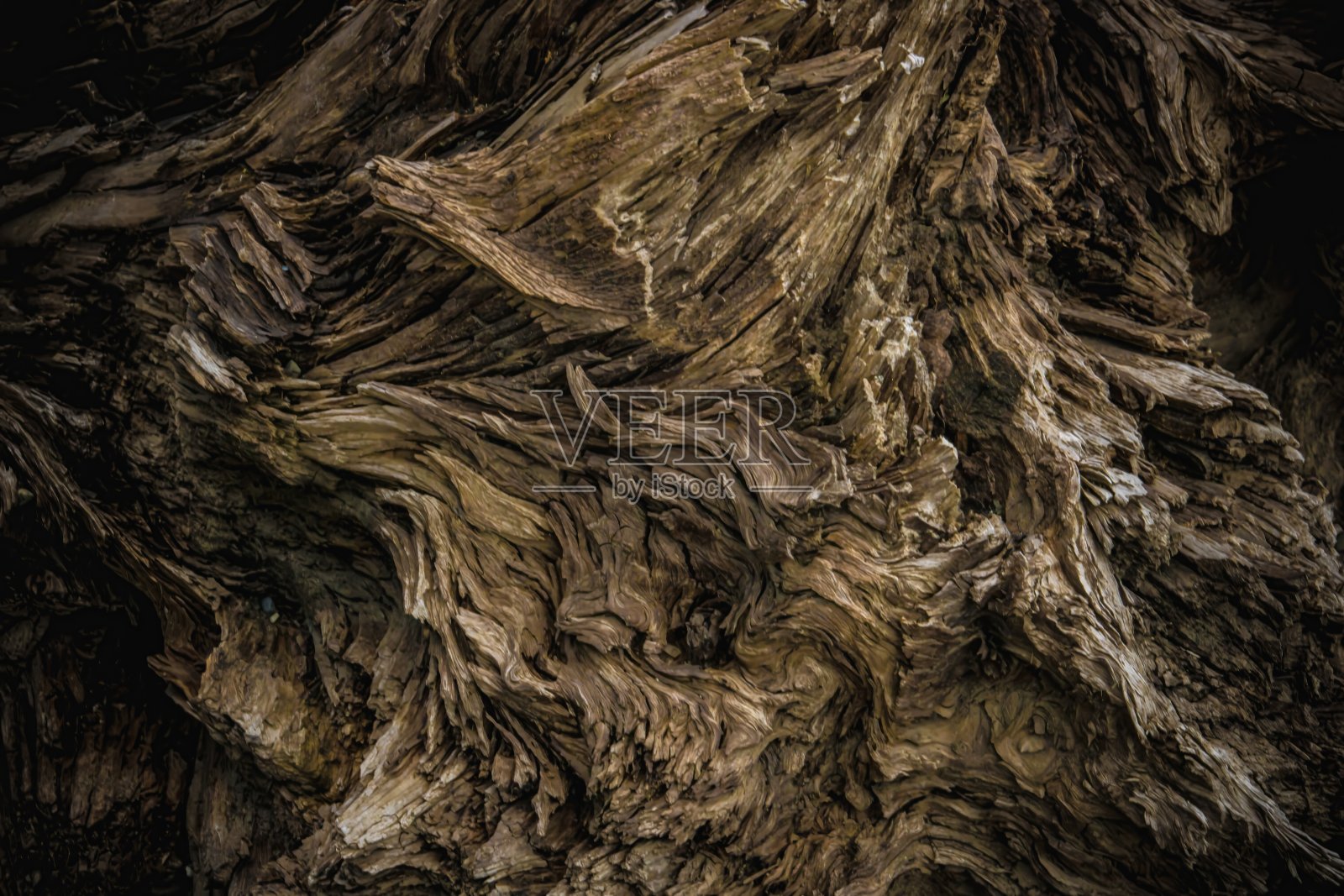 浮木照片摄影图片