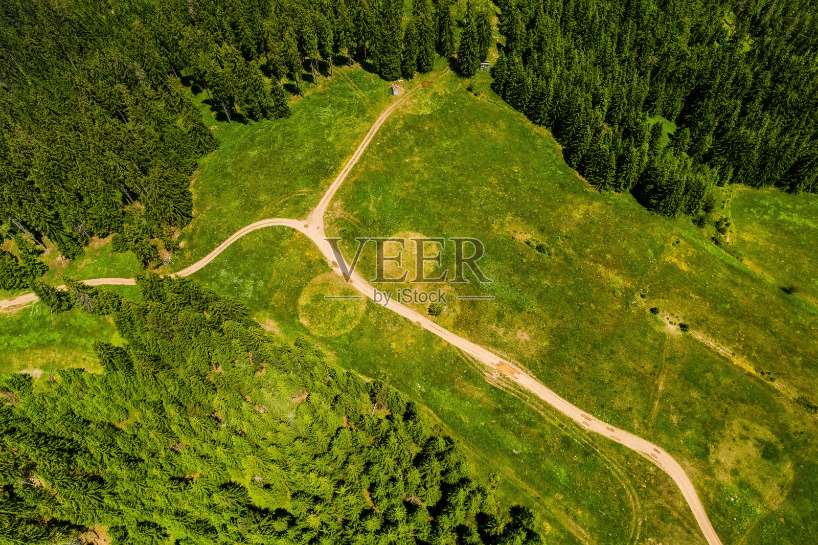 美丽的自然绿色森林,从空中俯瞰,航空照片照片摄影图片