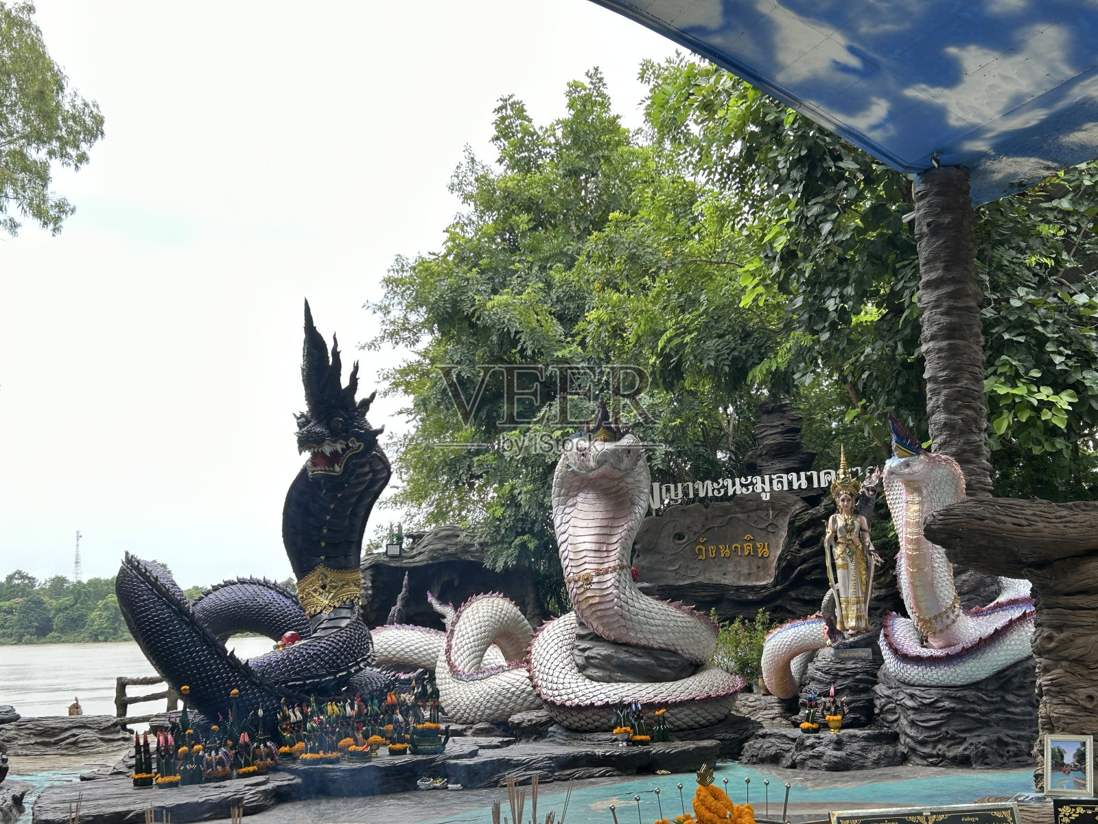 蛇像Wat Pah Pak Dome, Piboonmungsahan Ubonratchatani照片摄影图片