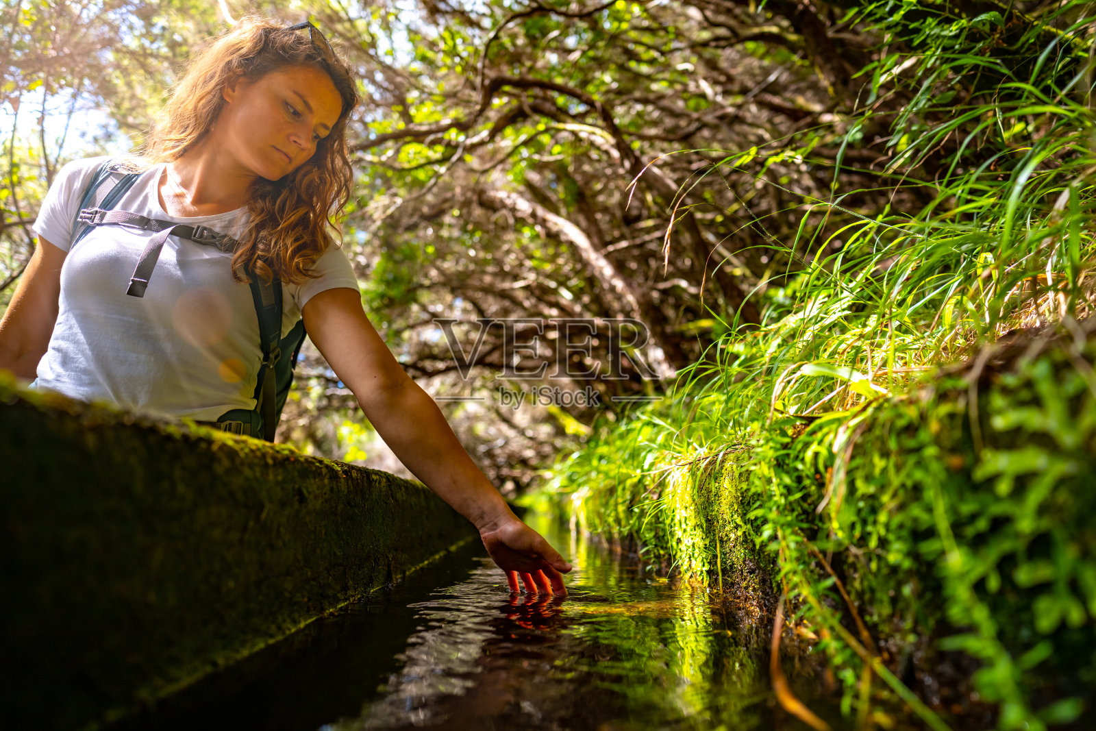低角度拍摄的女游客牵着她的手在淡水运河沿着绿色杂草丛生的徒步小径。25丰特斯瀑布,马德拉岛,葡萄牙,欧洲。照片摄影图片