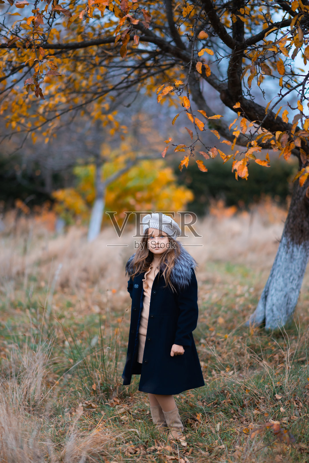 这个孩子在秋天的公园里穿着一件蓝色的外套,戴着一顶灰色的帽子照片摄影图片