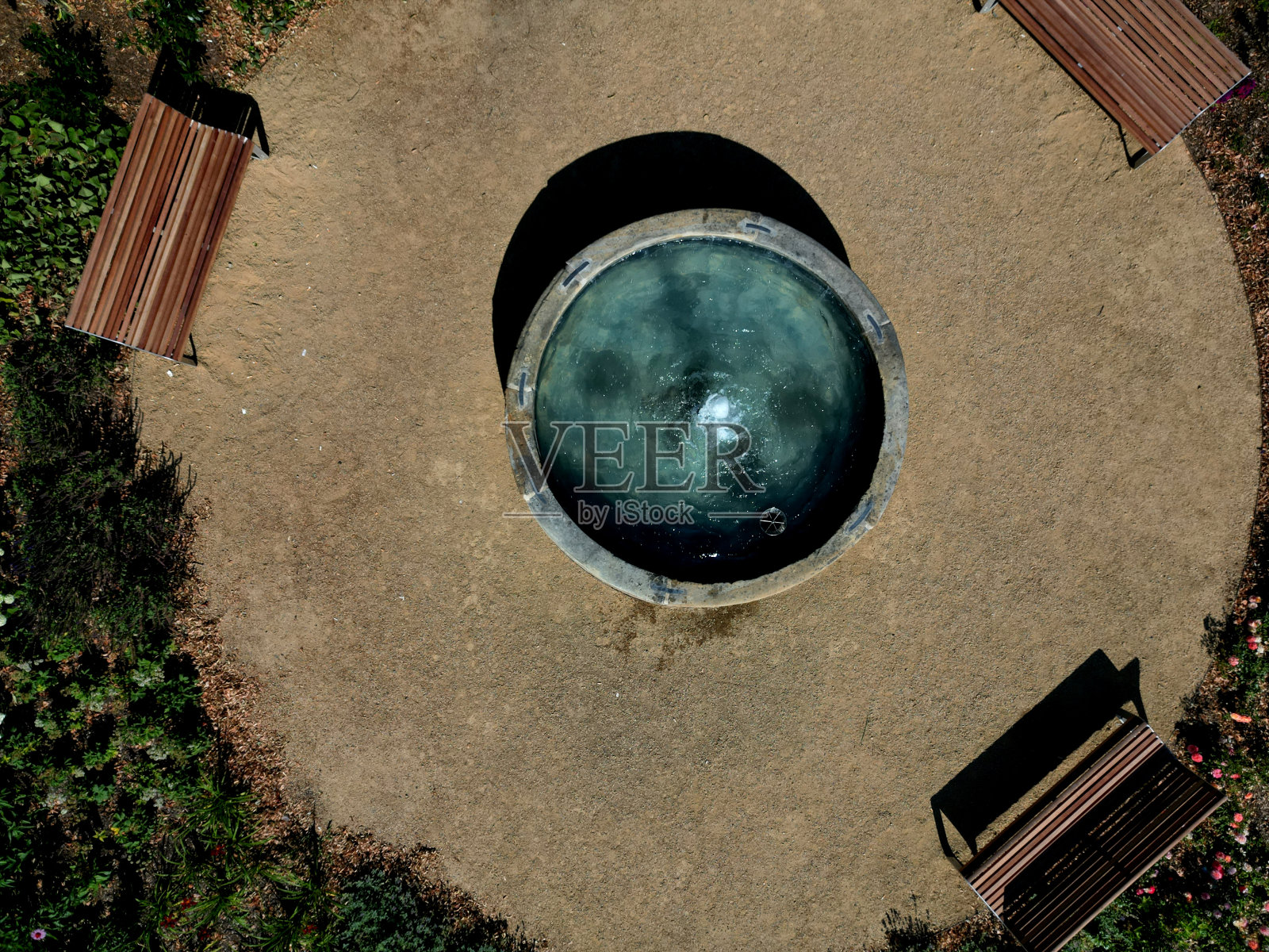 在花坛种植多年生植物。每年返利的都是各种月牙树,在割草机割过的割草机的地形波之间砍下,青青的,水柱状,圆形,水花飞溅照片摄影图片