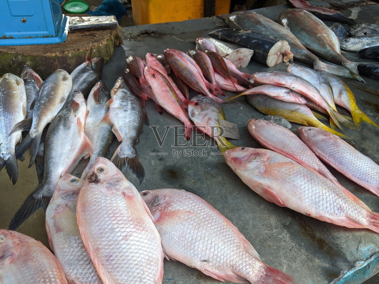 鲜红的罗非鱼照片摄影图片