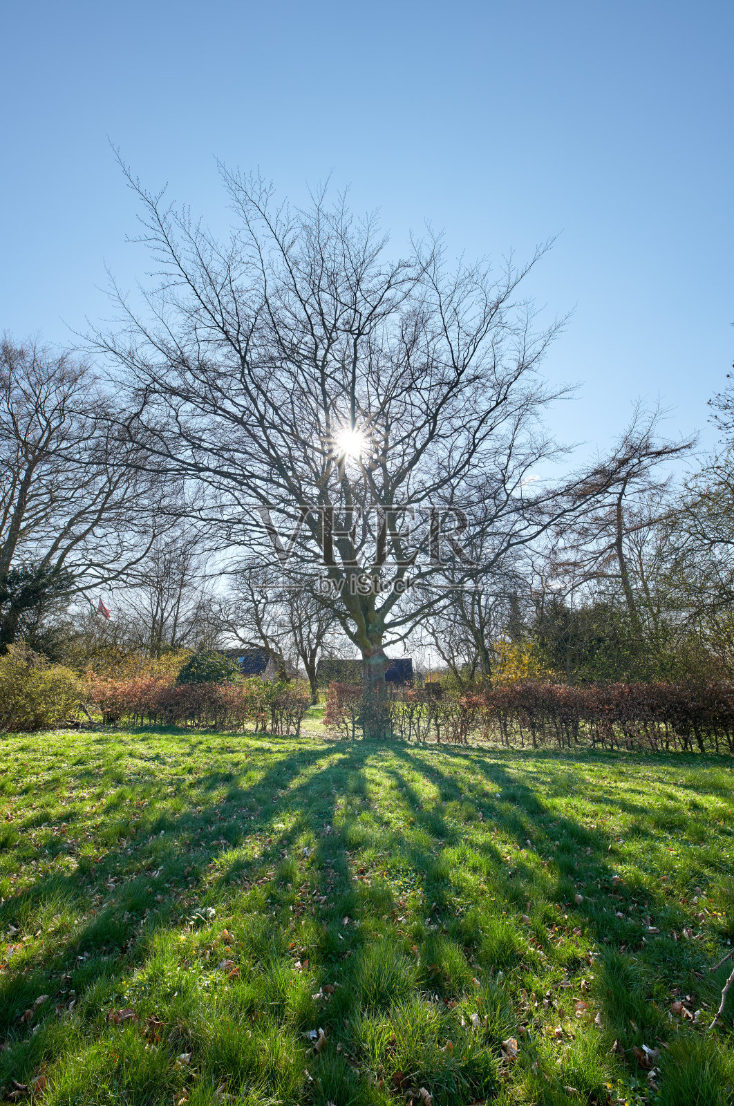 丹麦的自然照片摄影图片