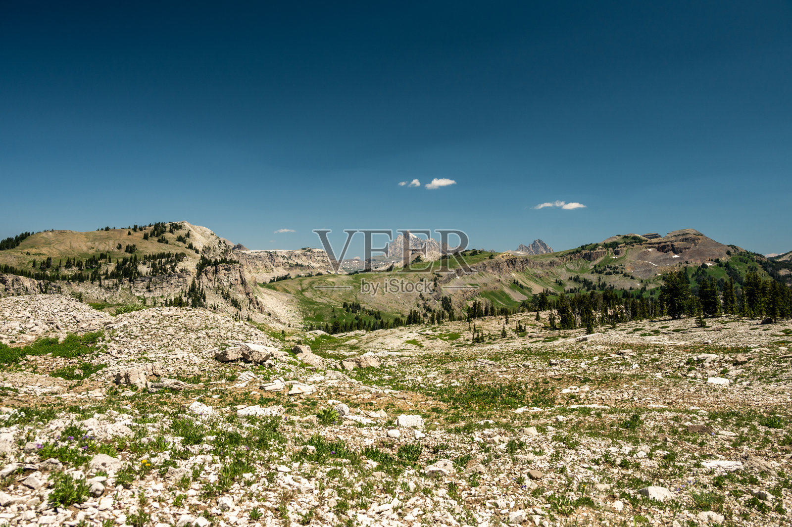 从Game Creek Trail远处看到的大提顿的背面照片摄影图片