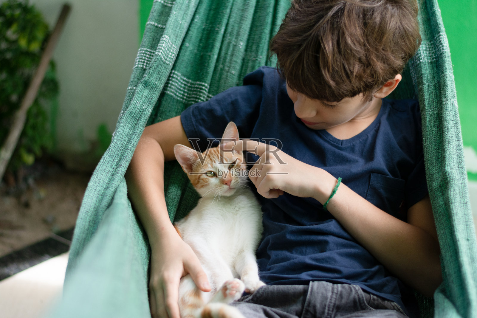 男孩躺在吊床上,他的宠物猫在抚摸他。对动物的爱。照片摄影图片