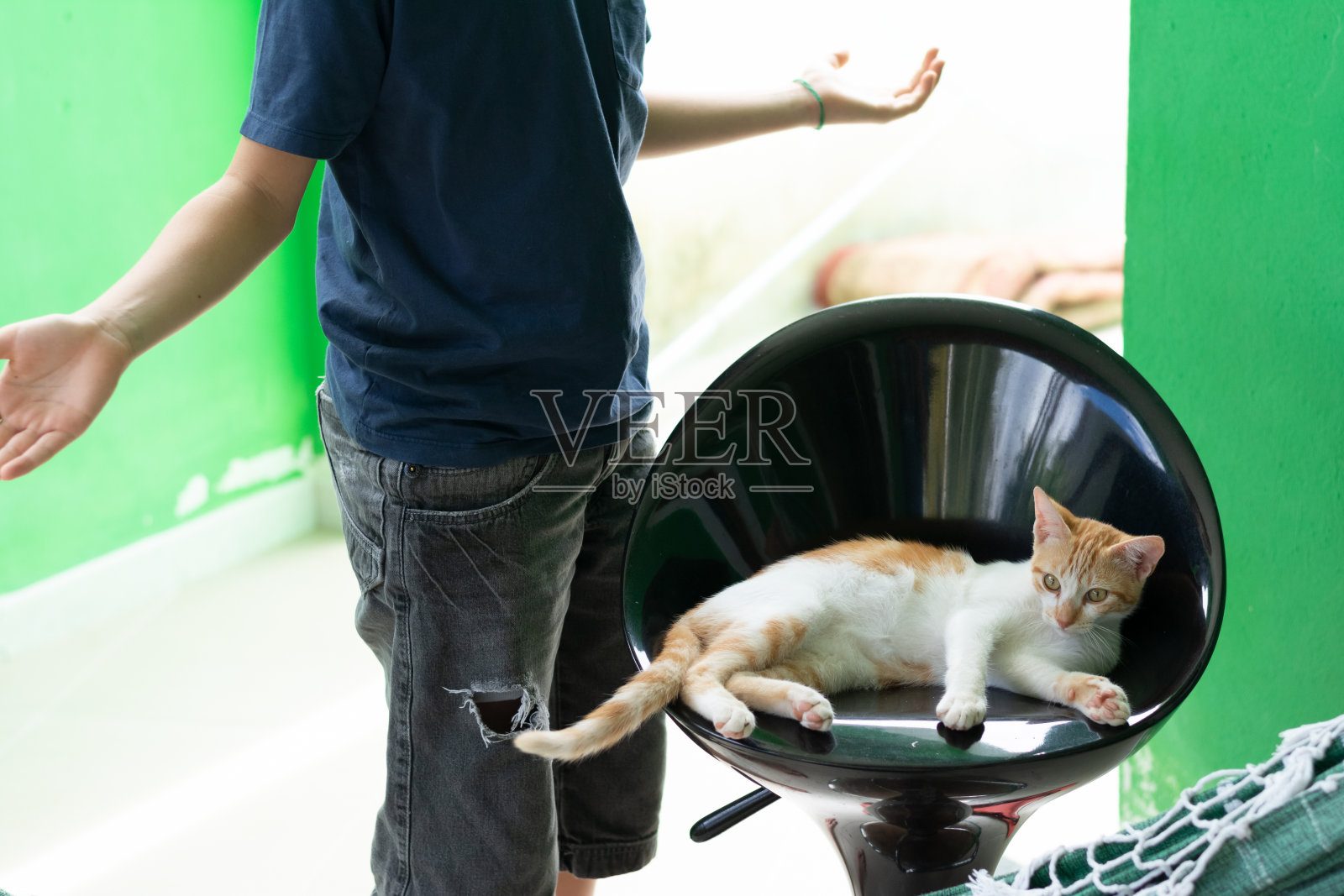 漂亮的白色和浅黄色小猫躺在黑色塑料椅子上和它的主人玩得很开心。照片摄影图片