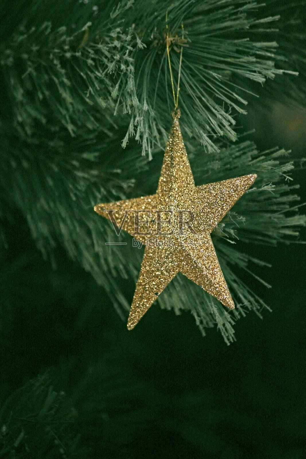 圣诞之星照片摄影图片