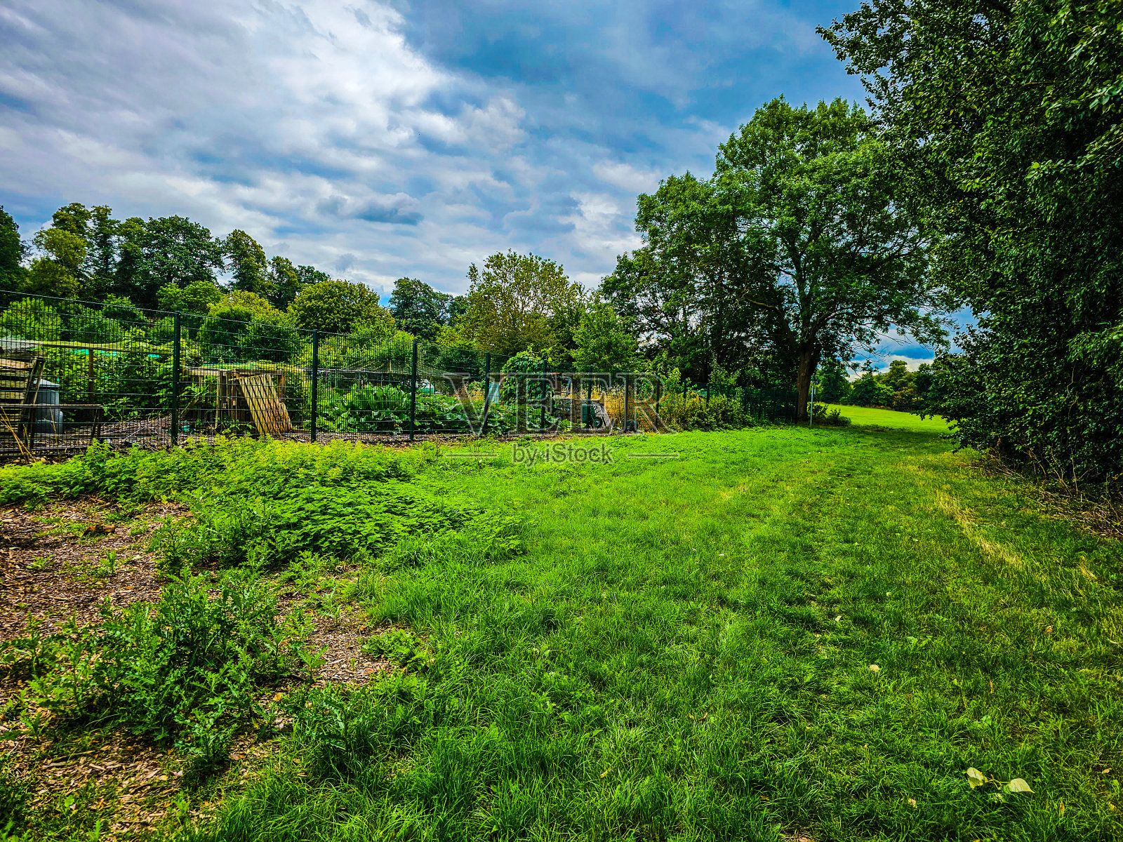 蓝天白云下,绿树成荫的草地和操场照片摄影图片