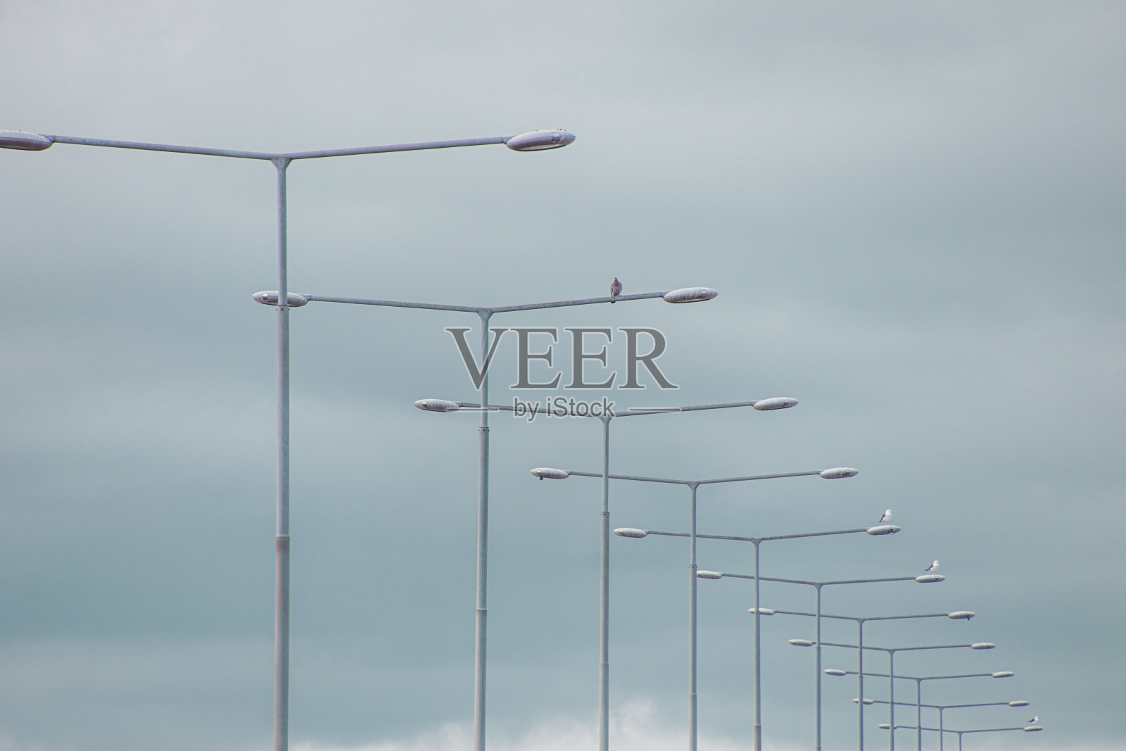 街灯对着天空的低角度视图照片摄影图片