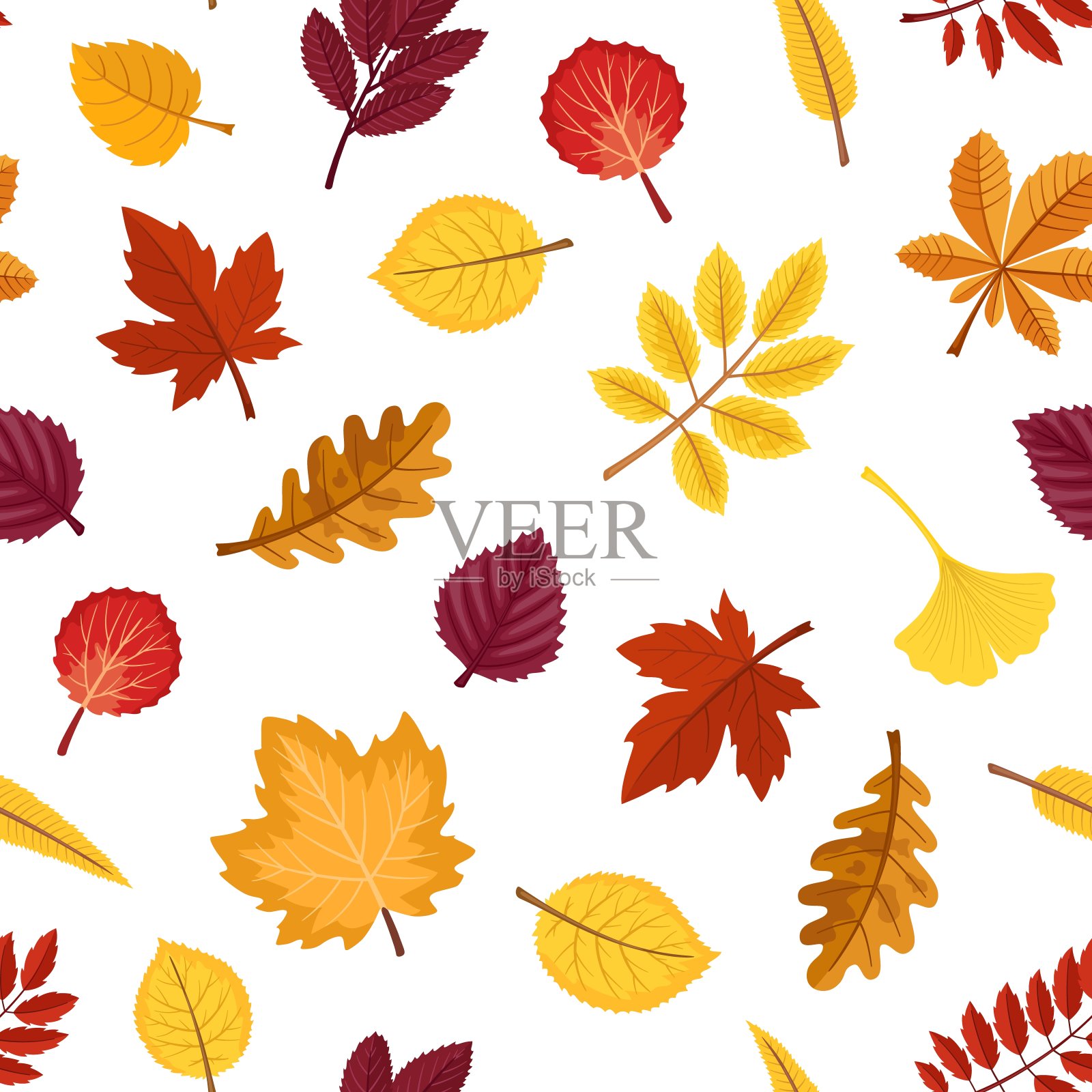 秋叶无缝矢量图案。各种秋叶的背景。插画图片素材
