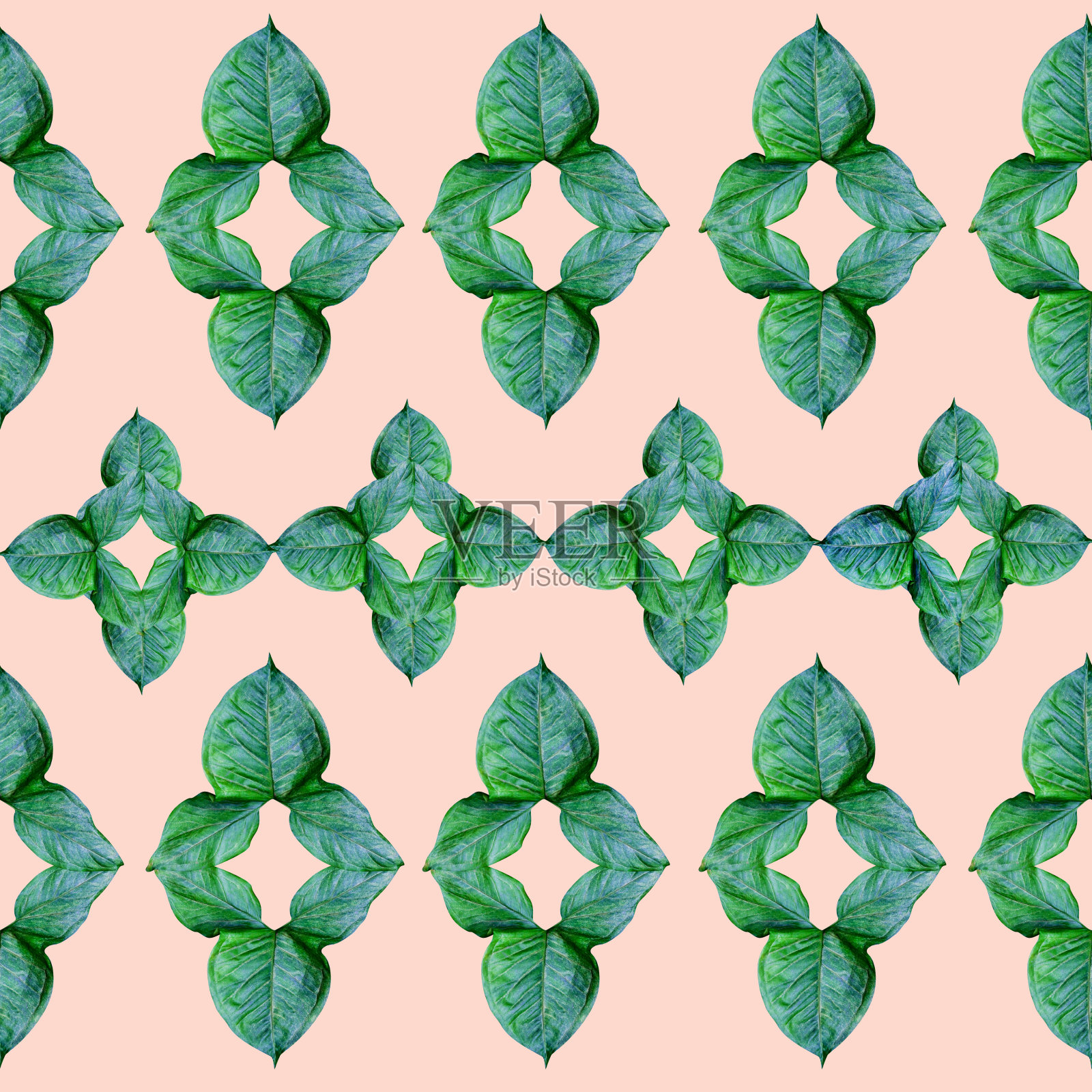 热带异域植物的叶子、绿叶图案为自然概念制作了新的色彩,抽象的背景为纺织品和面料设计,孤立在粉红色的背景上照片摄影图片