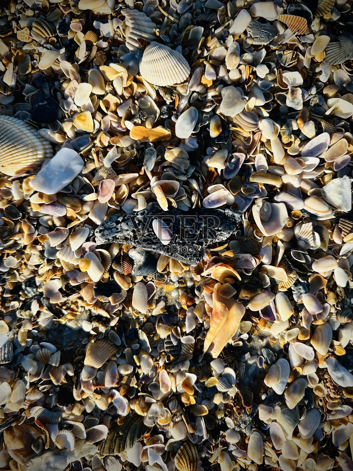 有信心照片摄影图片