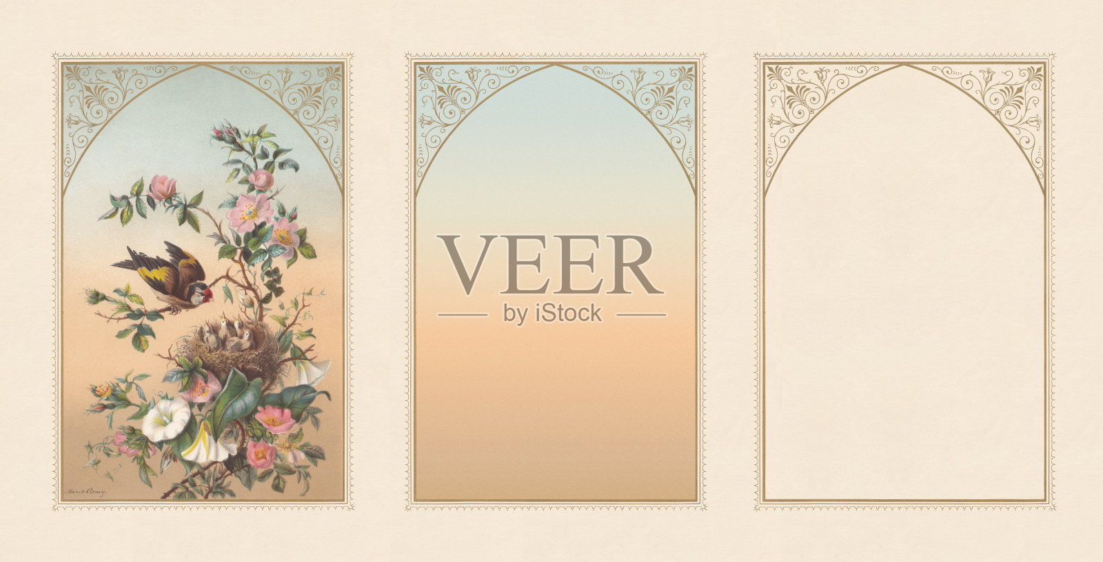 金翅雀和巢,文字框架,色版画,出版于1872年插画图片素材