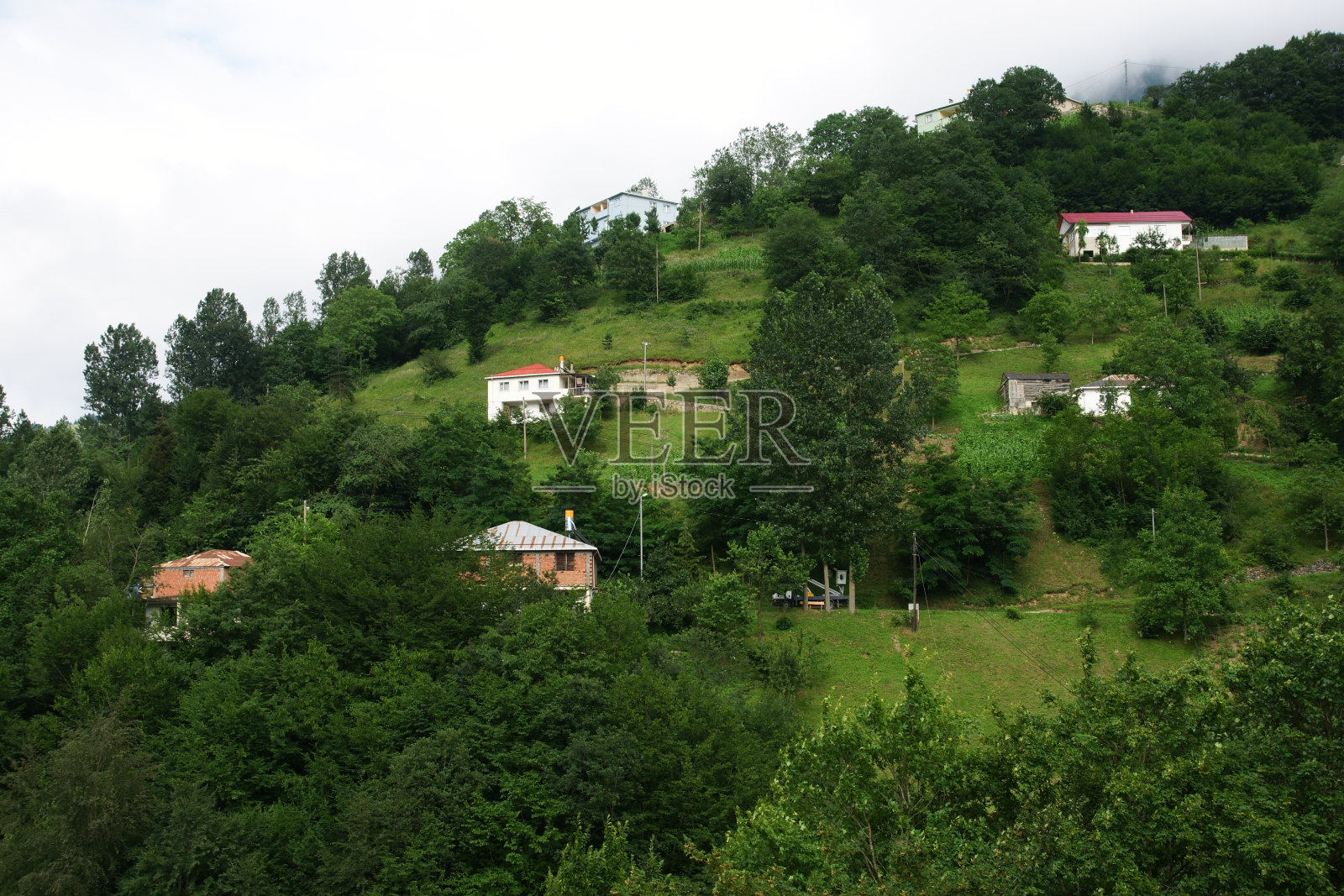 Hamsikoy照片摄影图片