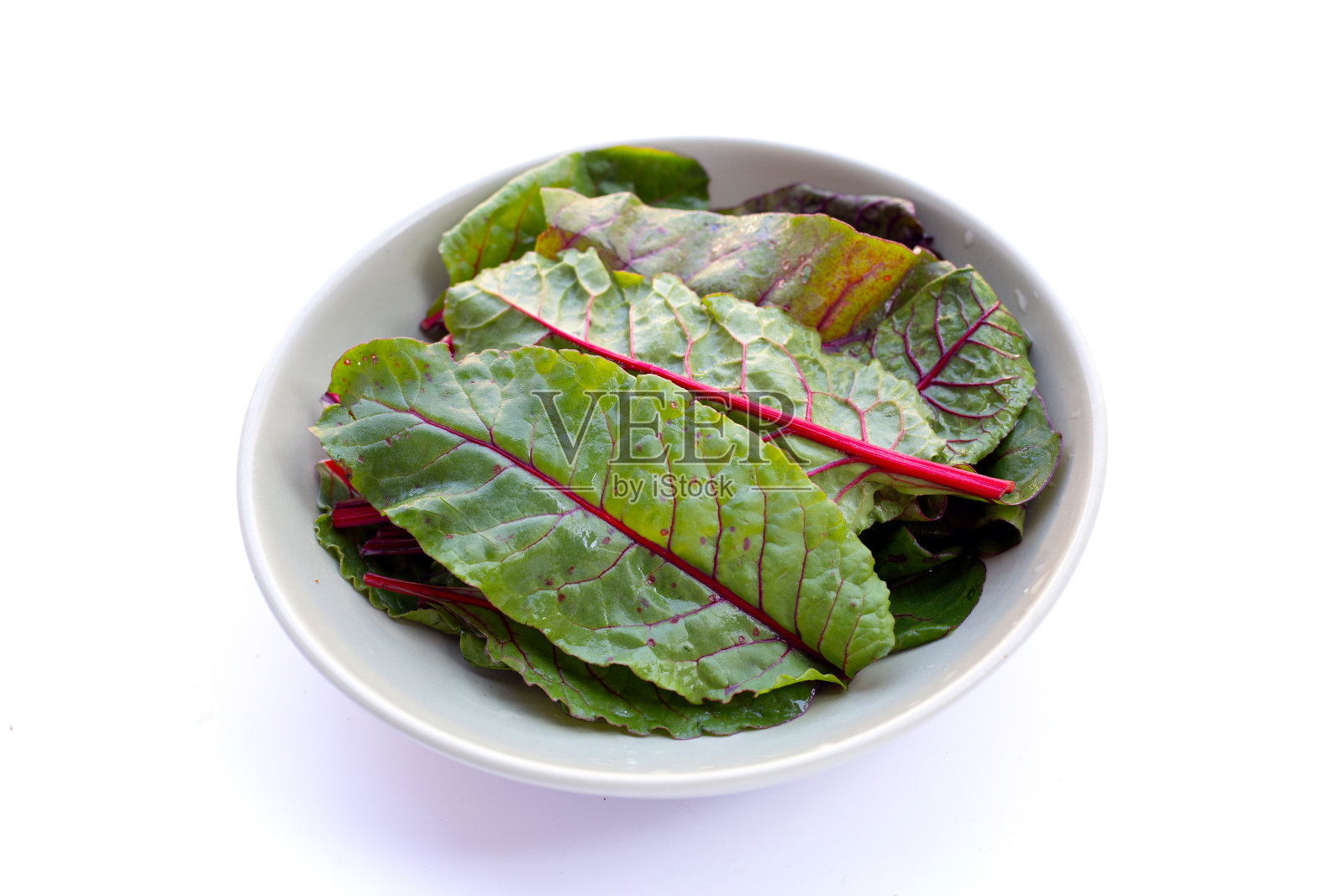 白底瑞士甜菜。小叶甜菜照片摄影图片