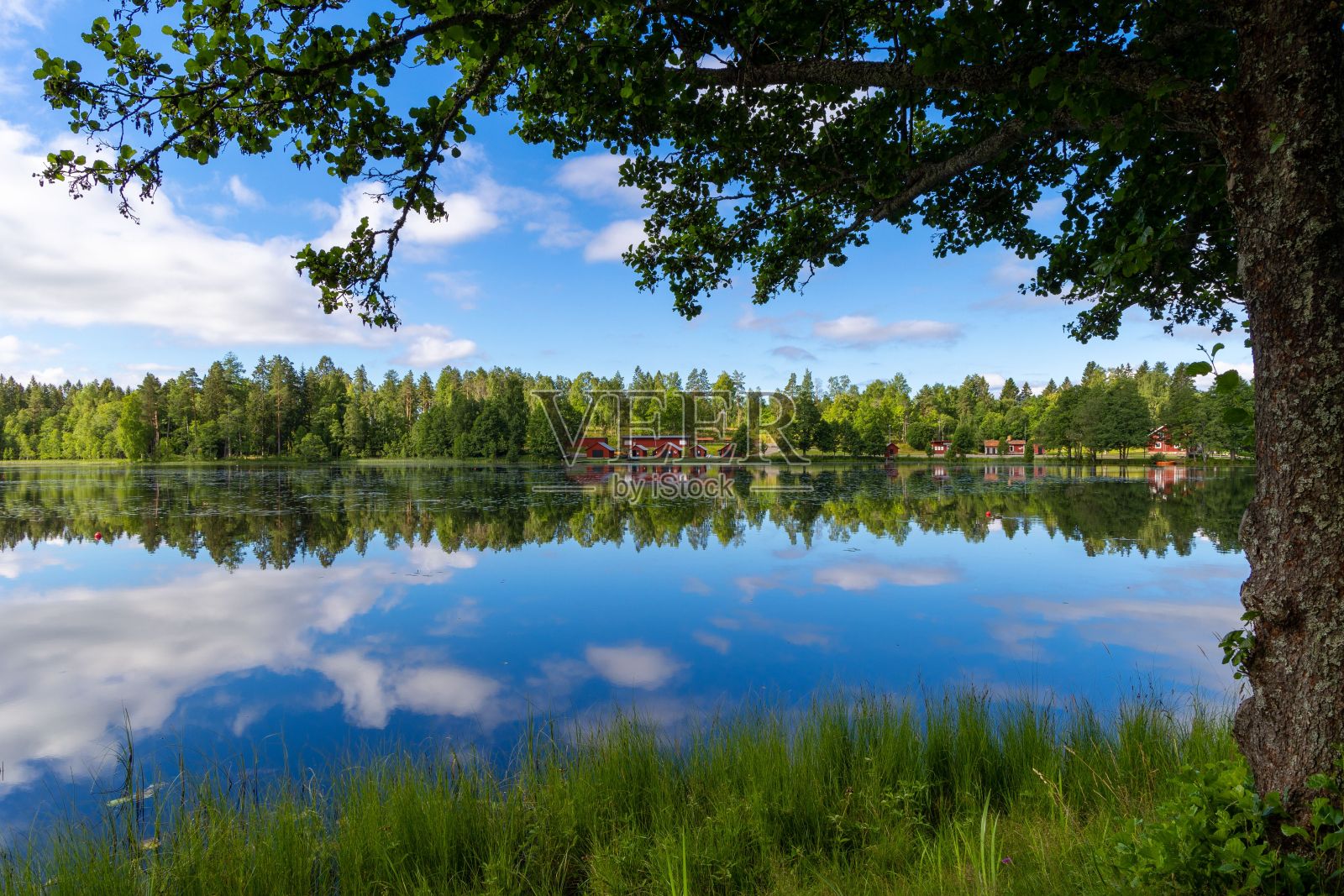风景如画的湖景,在前景有许多树木的水体。照片摄影图片